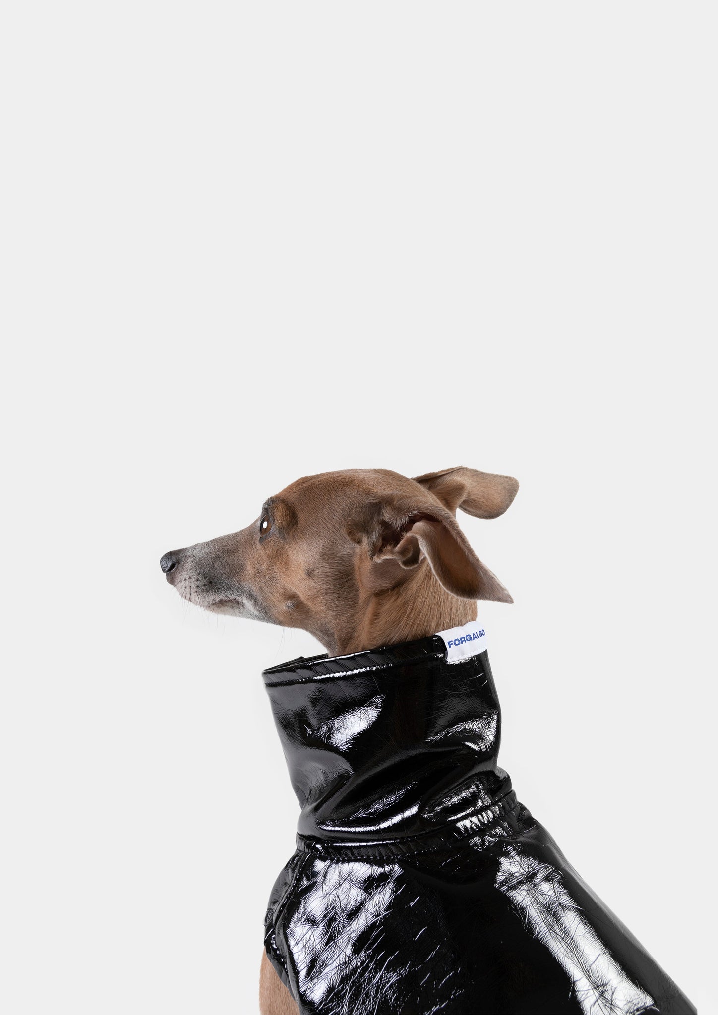 CHALECO REVERSIBLE WATERPROOF NEGRO - WHIPPET