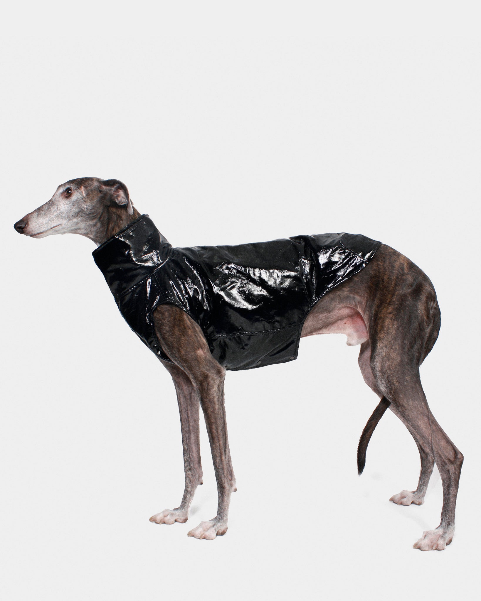 CHALECO REVERSIBLE WATERPROOF NEGRO - GALGO