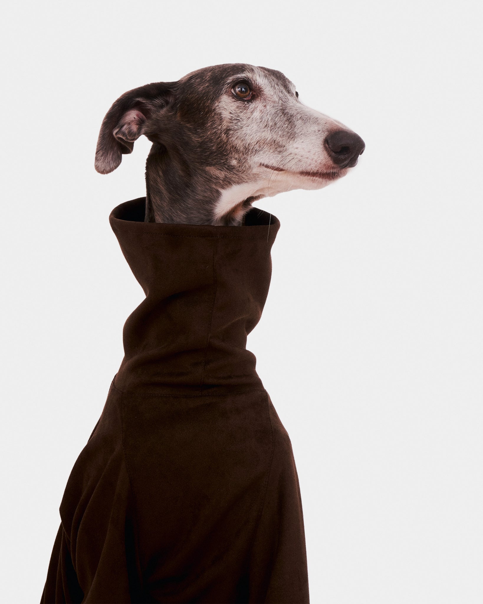 SUDADERA MARRON - GALGO