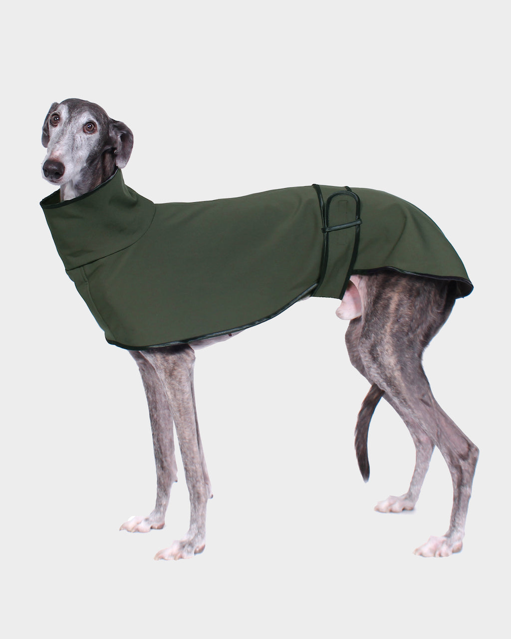 GABARDINA WATERPROOF VERDE - GALGO (NEW IN)