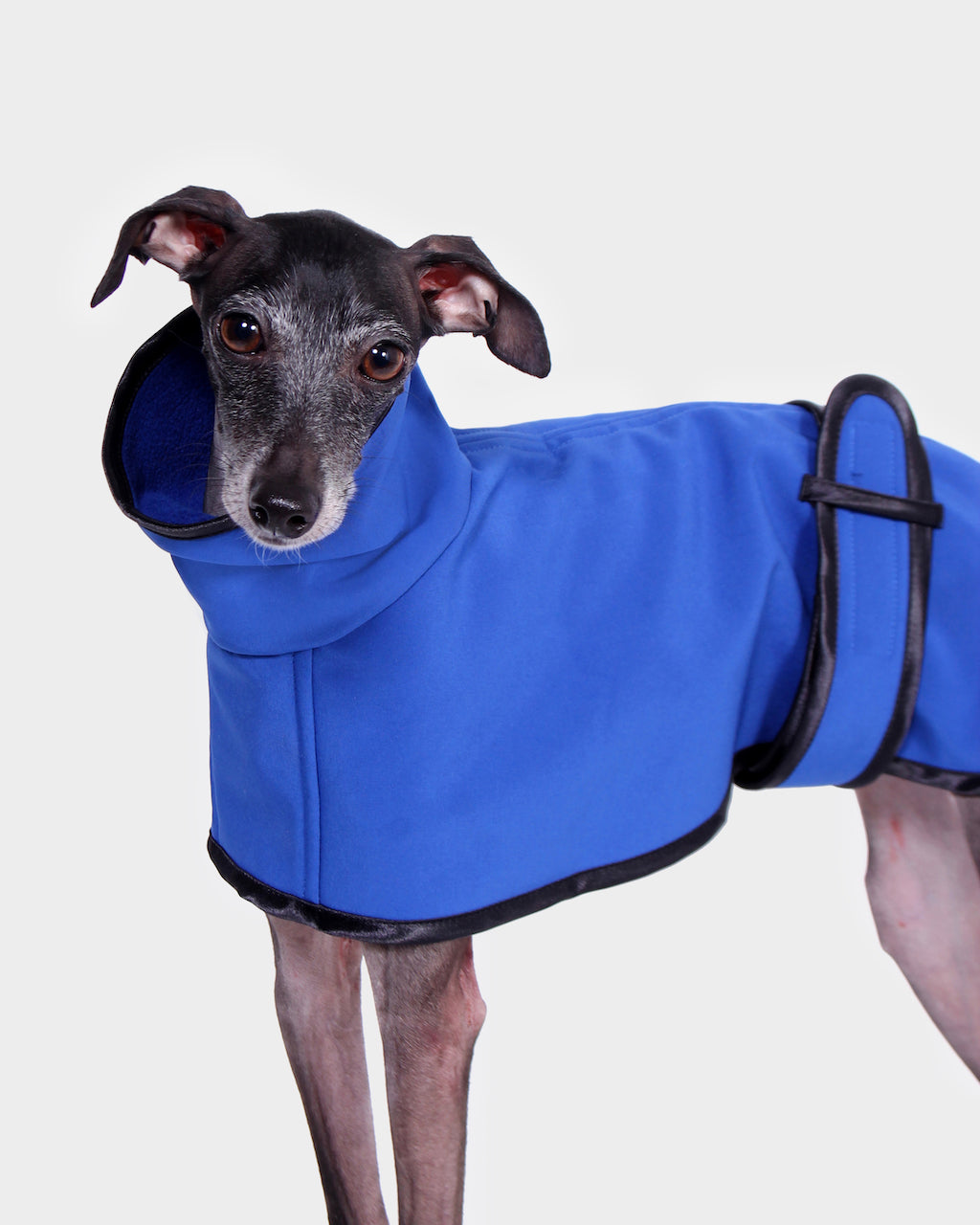 GABARDINA WATERPROOF AZUL - WHIPPET (NEW IN)