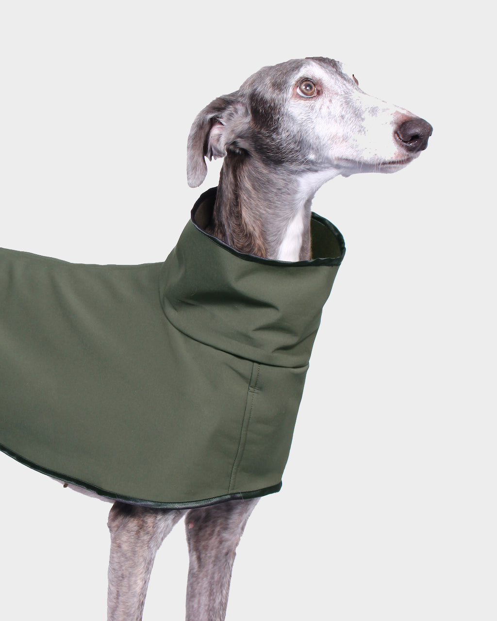 GABARDINA WATERPROOF VERDE - GALGO (NEW IN)