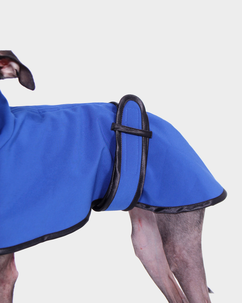 GABARDINA WATERPROOF AZUL - WHIPPET (NEW IN)