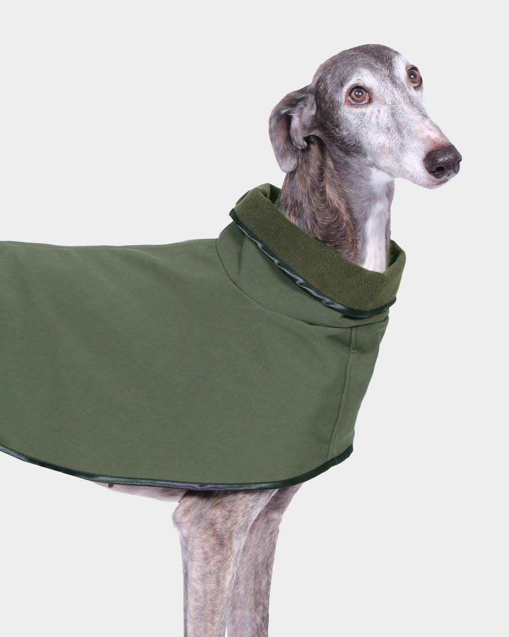 GABARDINA WATERPROOF VERDE - GALGO (NEW IN)