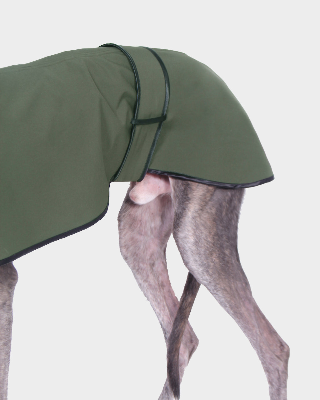 GABARDINA WATERPROOF VERDE - GALGO (NEW IN)