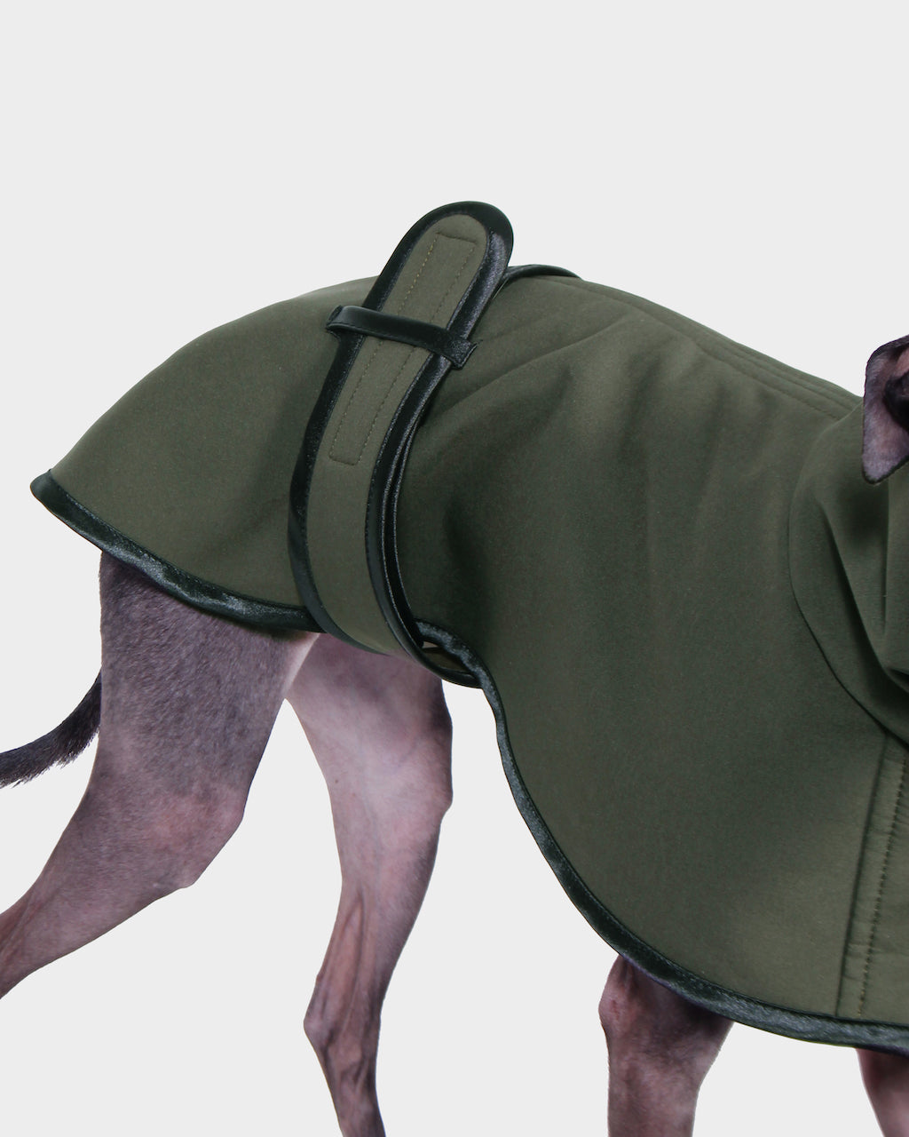 GABARDINA WATERPROOF VERDE - IGGY (NEW IN)