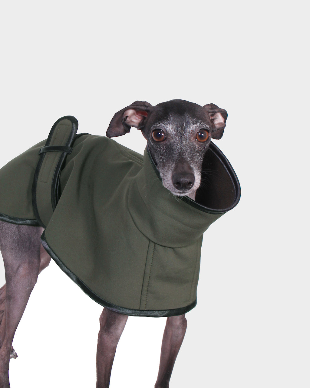 GABARDINA WATERPROOF VERDE - IGGY (NEW IN)