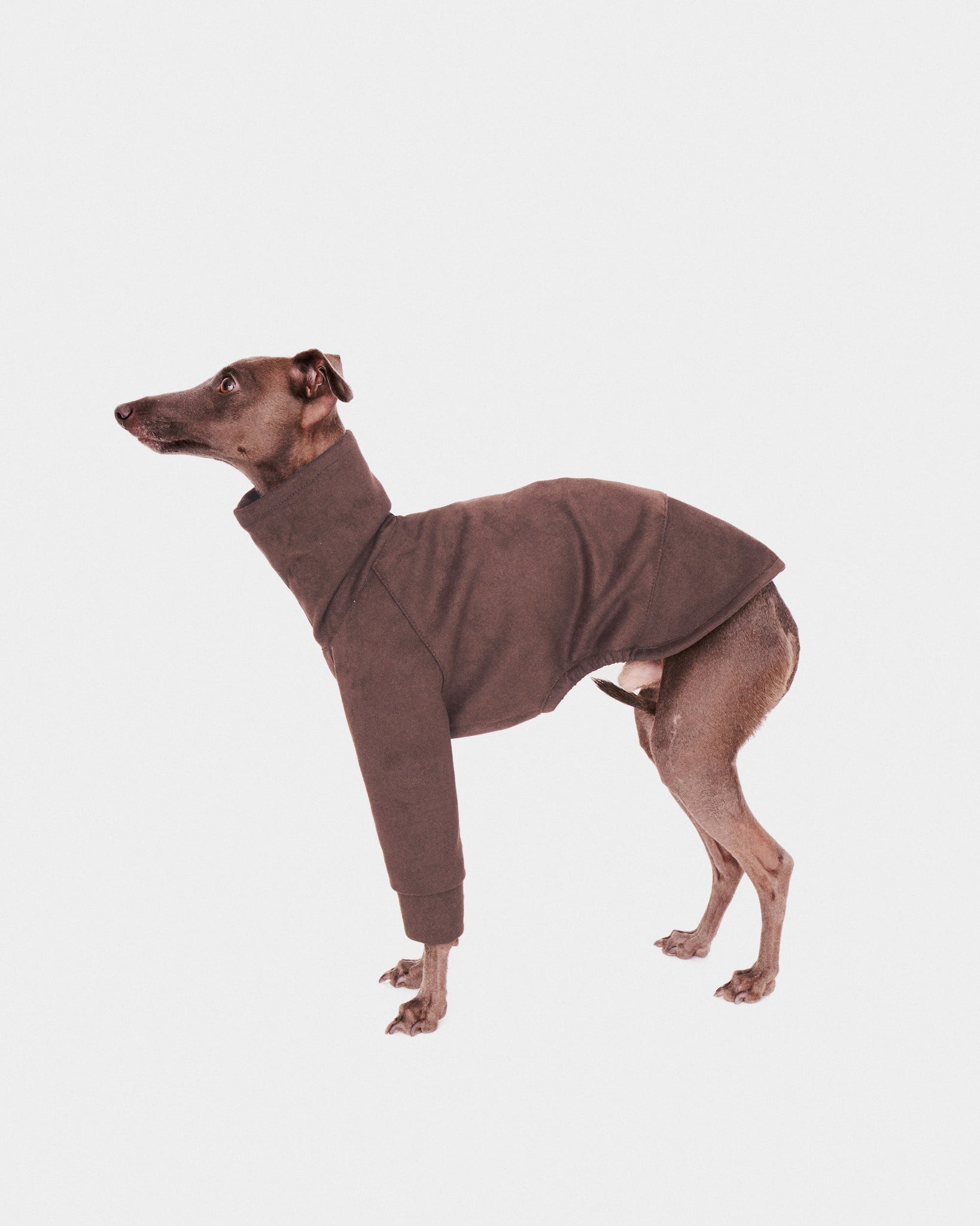 SUDADERA MARRON 2 PATAS - WHIPPET