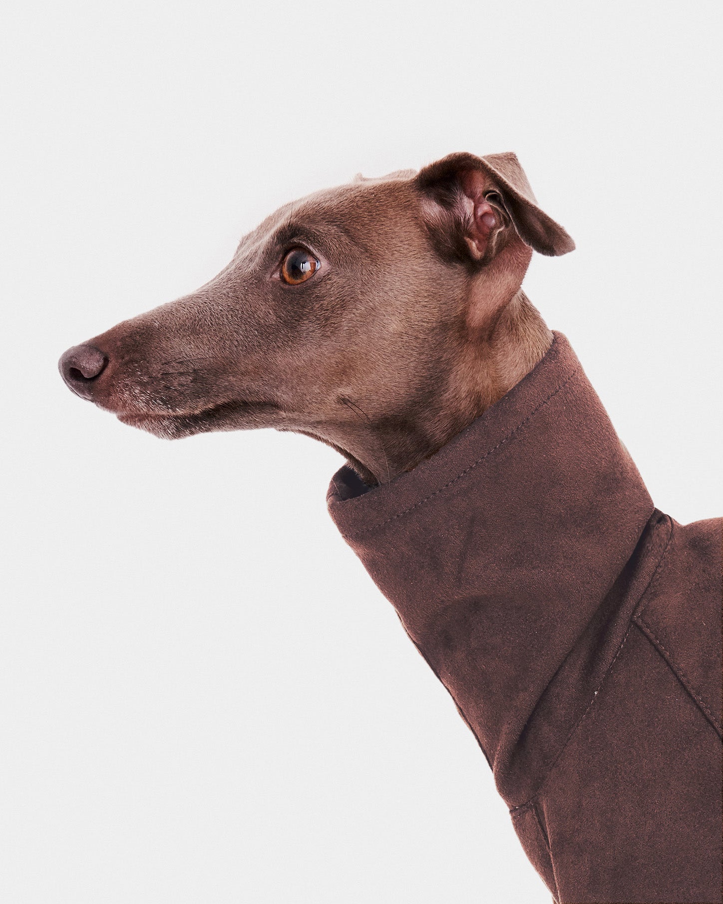 SUDADERA MARRON 4 PATAS - WHIPPET