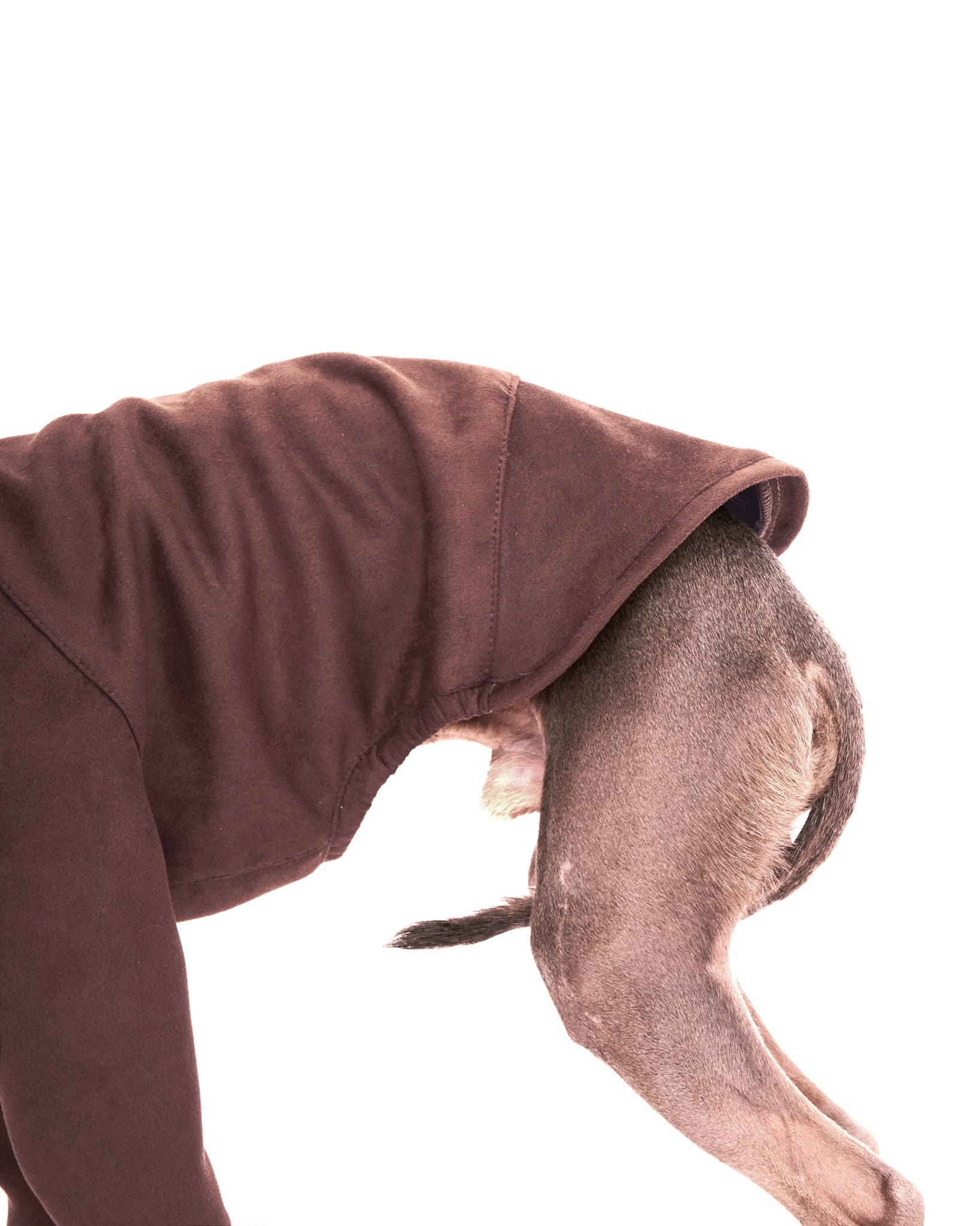 SUDADERA MARRON 2 PATAS - WHIPPET