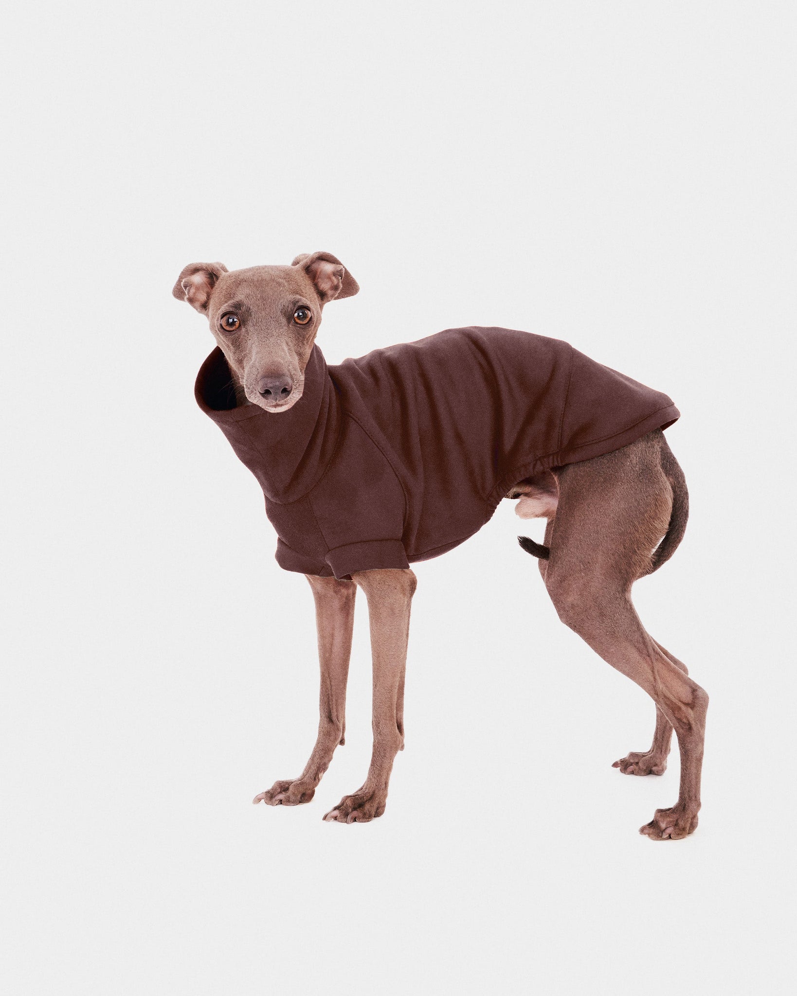 SUDADERA MARRON - WHIPPET