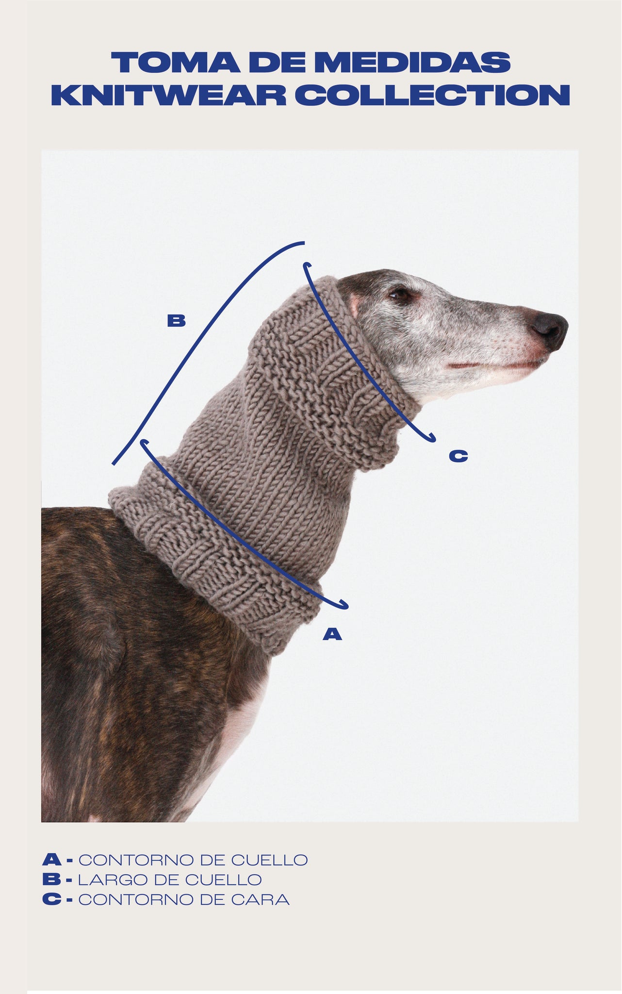 CUELLO PUNTO AZUL - IGGY (A MEDIDA)