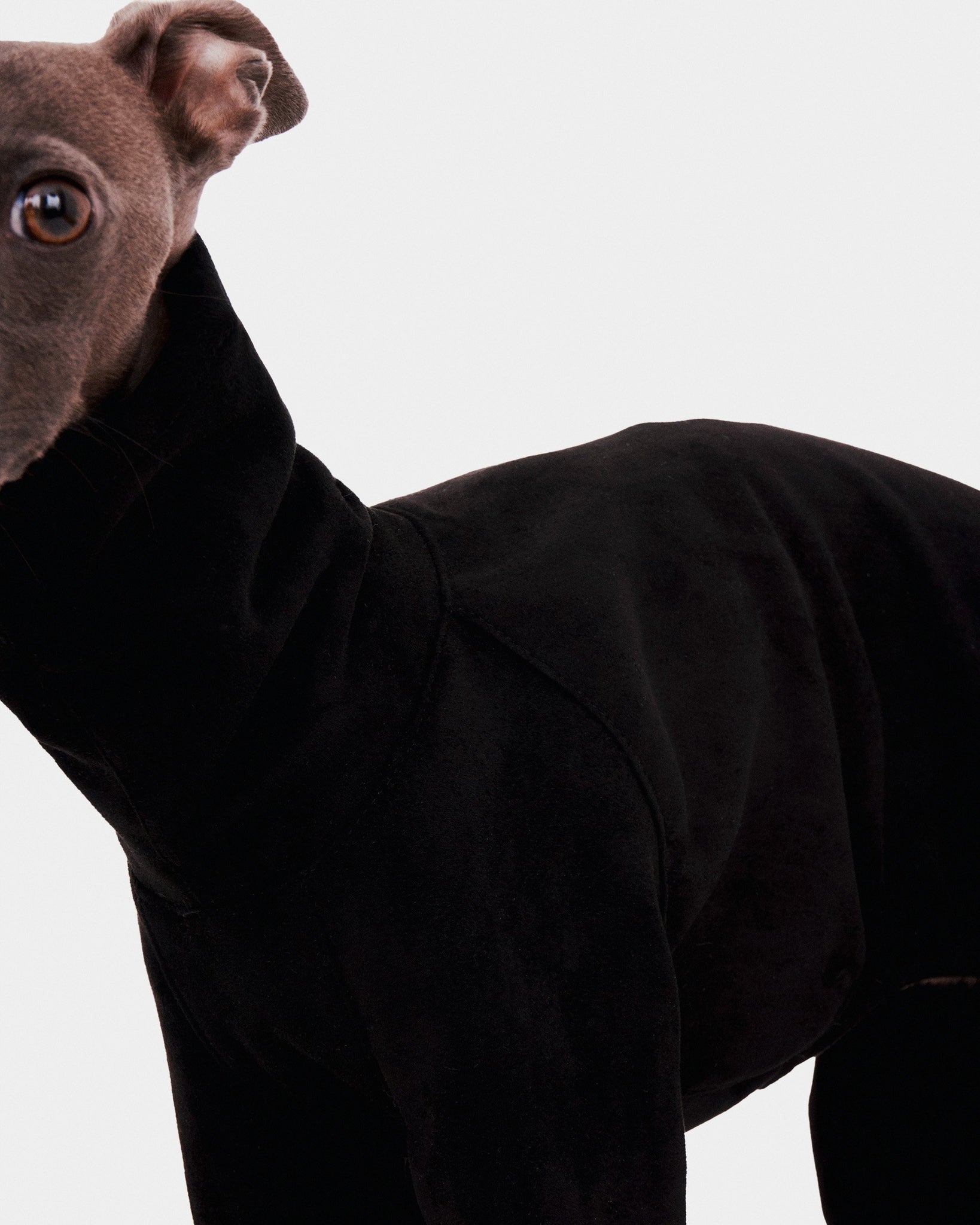 SUDADERA NEGRA 4 PATAS - WHIPPET