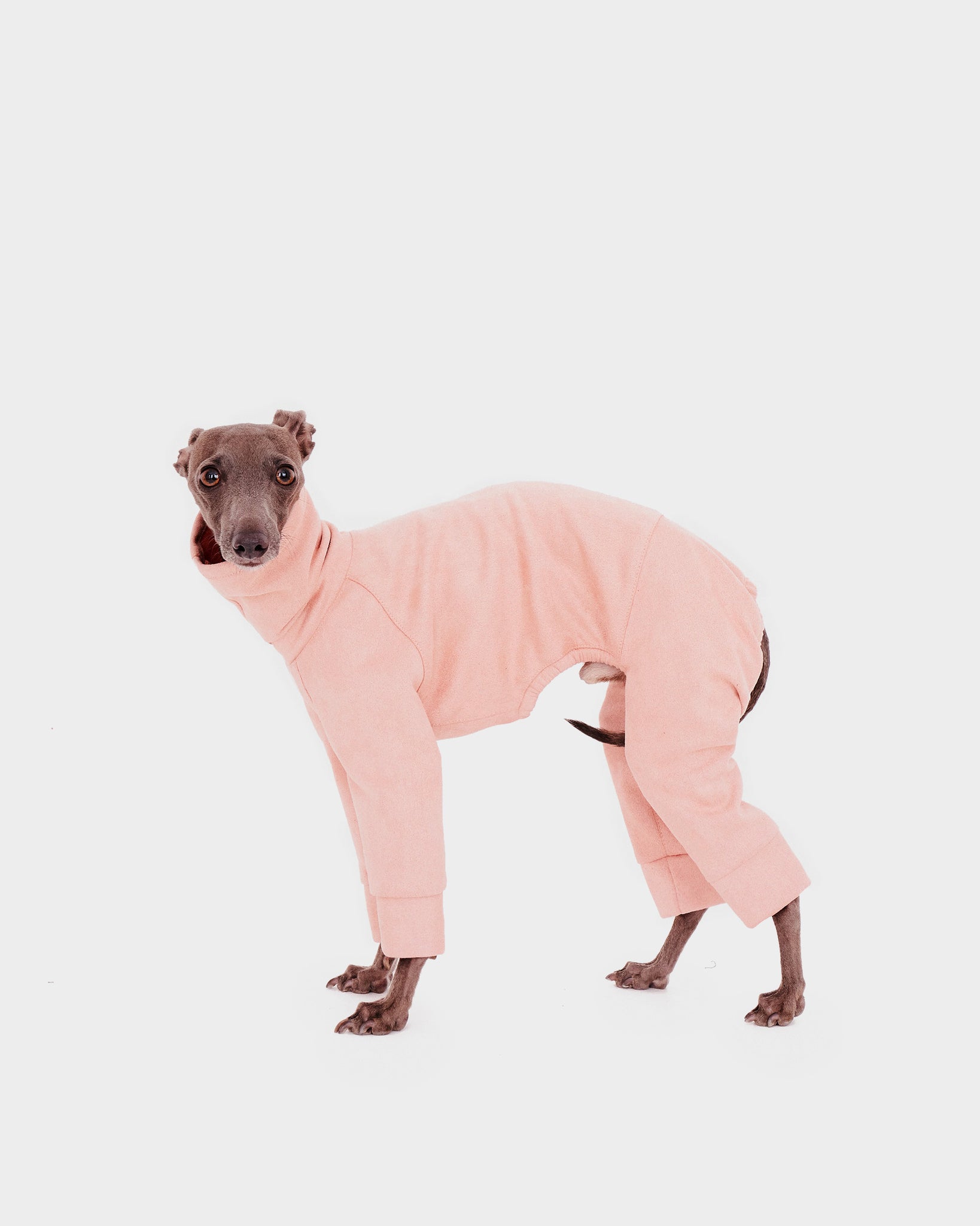 SUDADERA ROSA 4 PATAS - IGGY