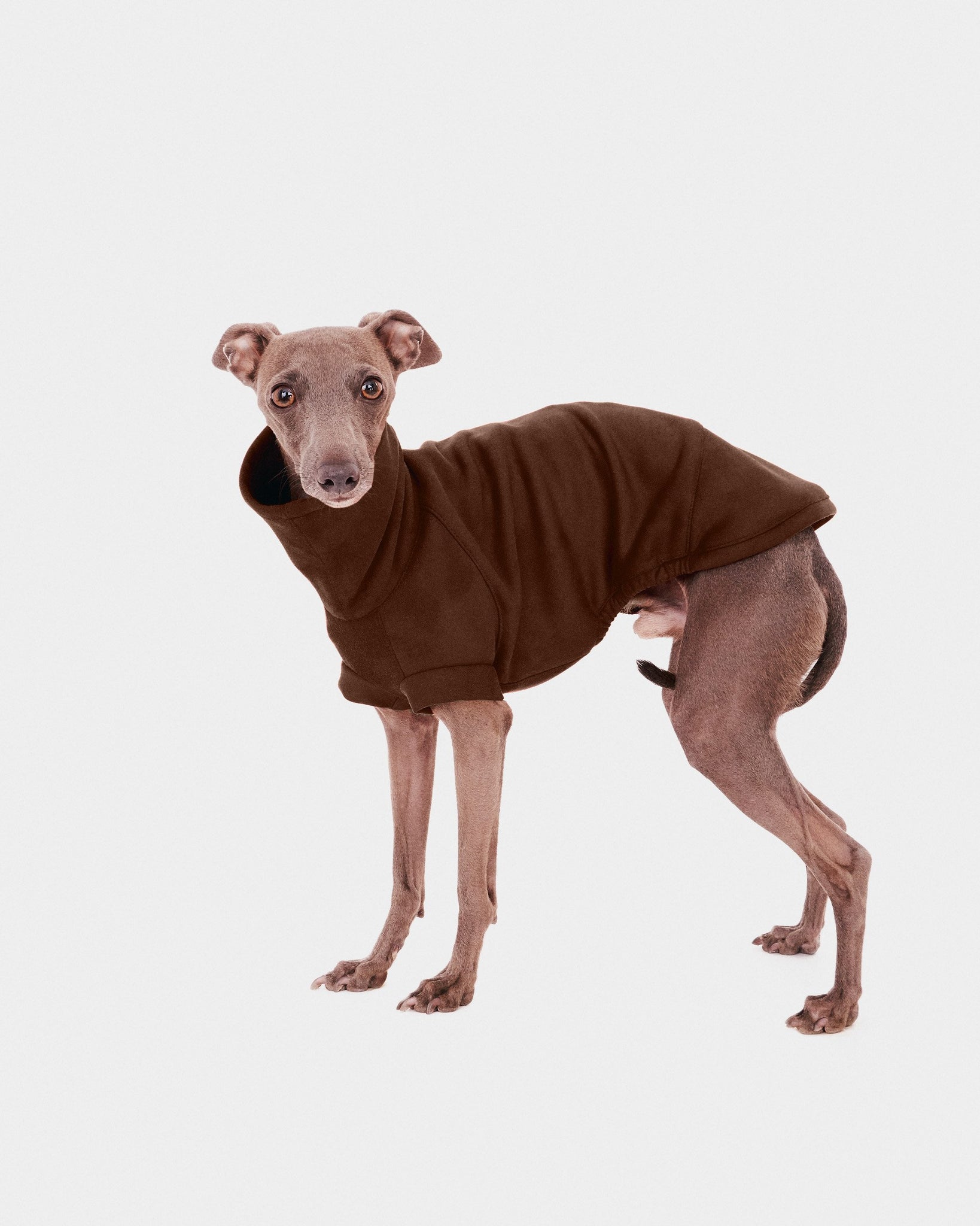 SUDADERA VERDE - WHIPPET