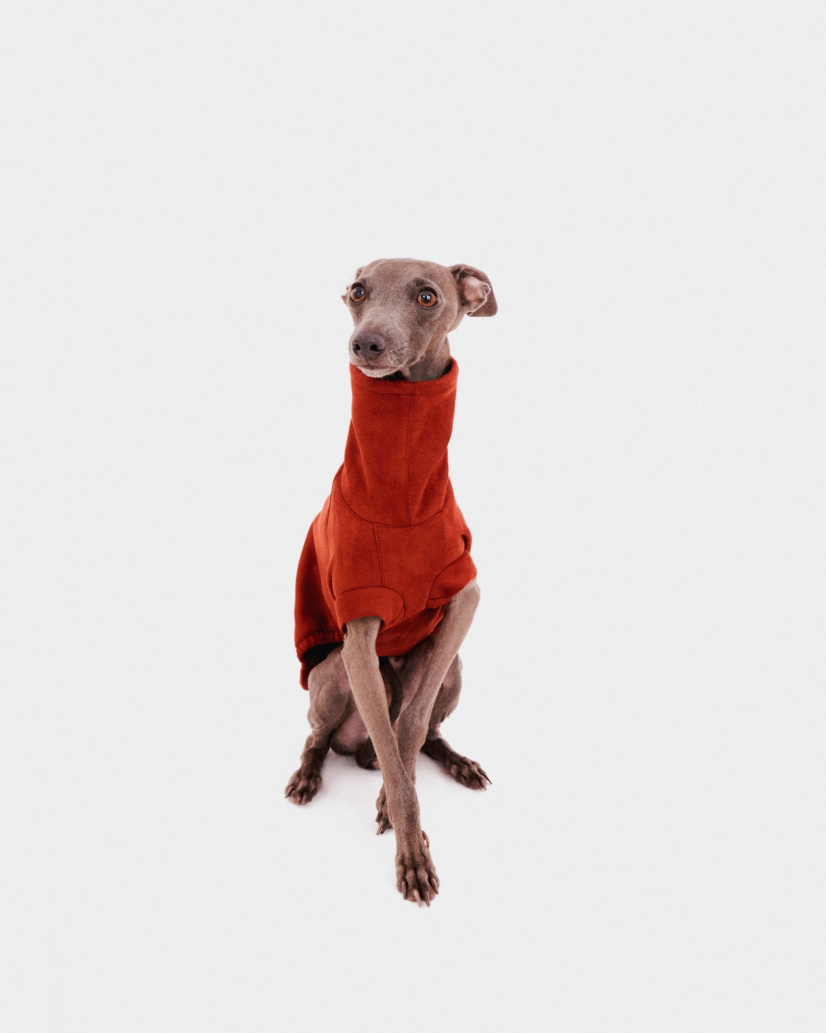 SUDADERA TEJA - IGGY