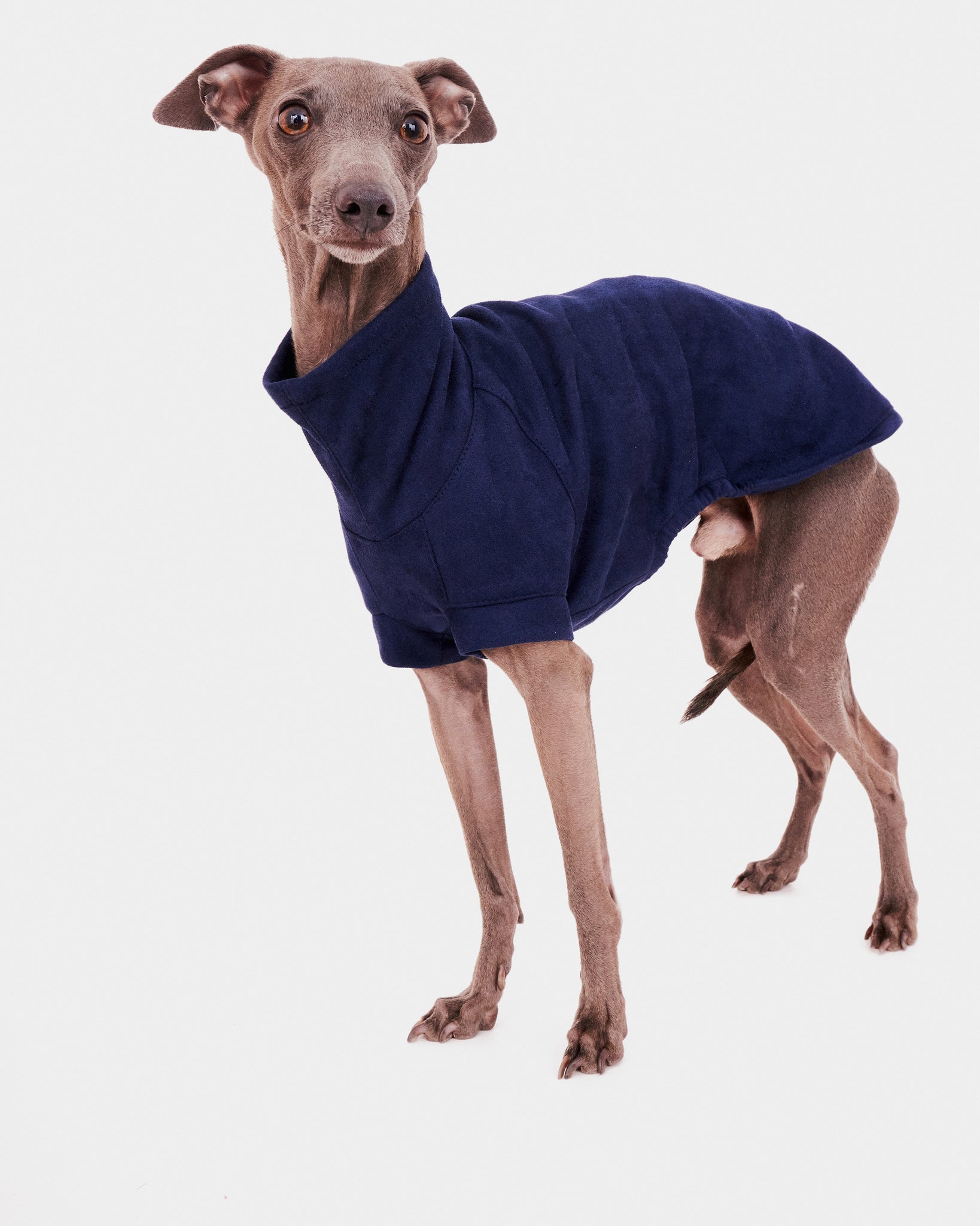 SUDADERA AZUL - IGGY