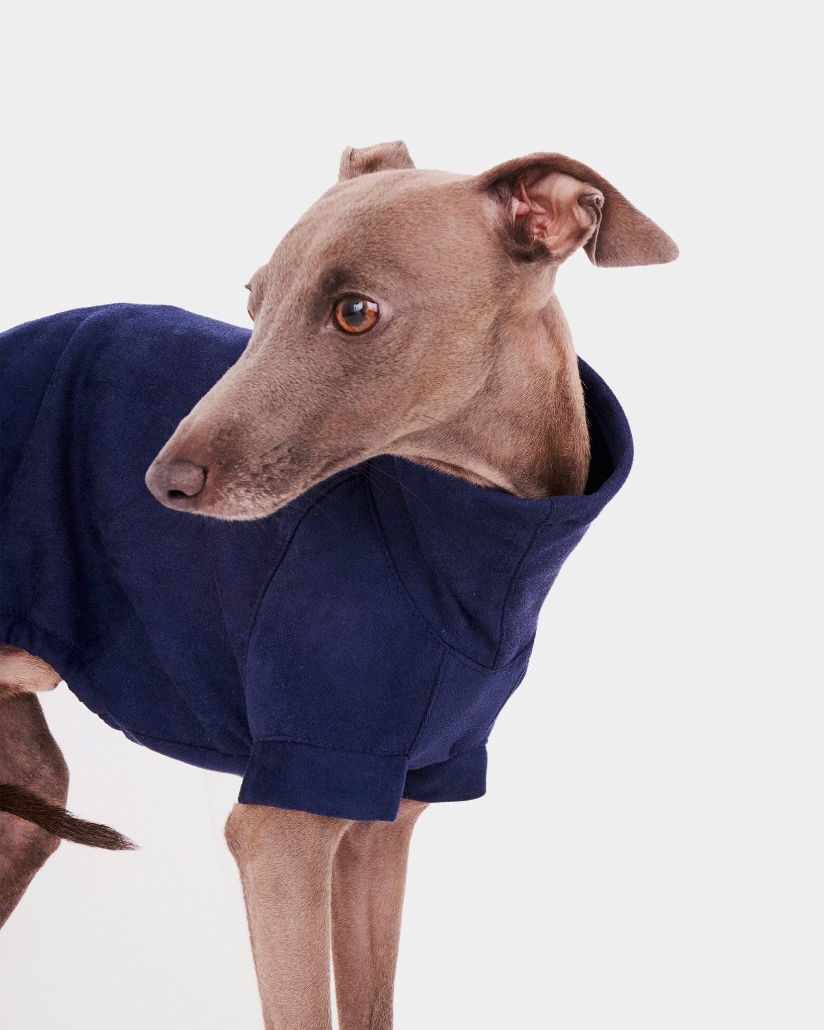 SUDADERA AZUL - IGGY