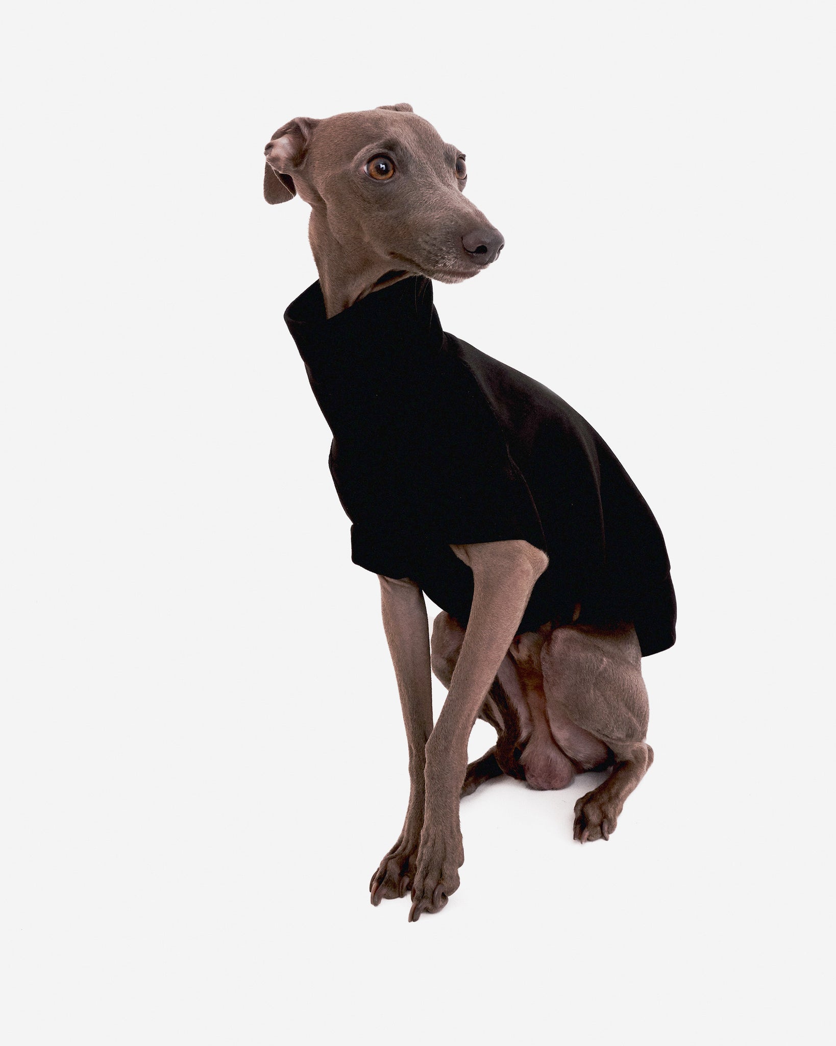 SUDADERA NEGRA - IGGY