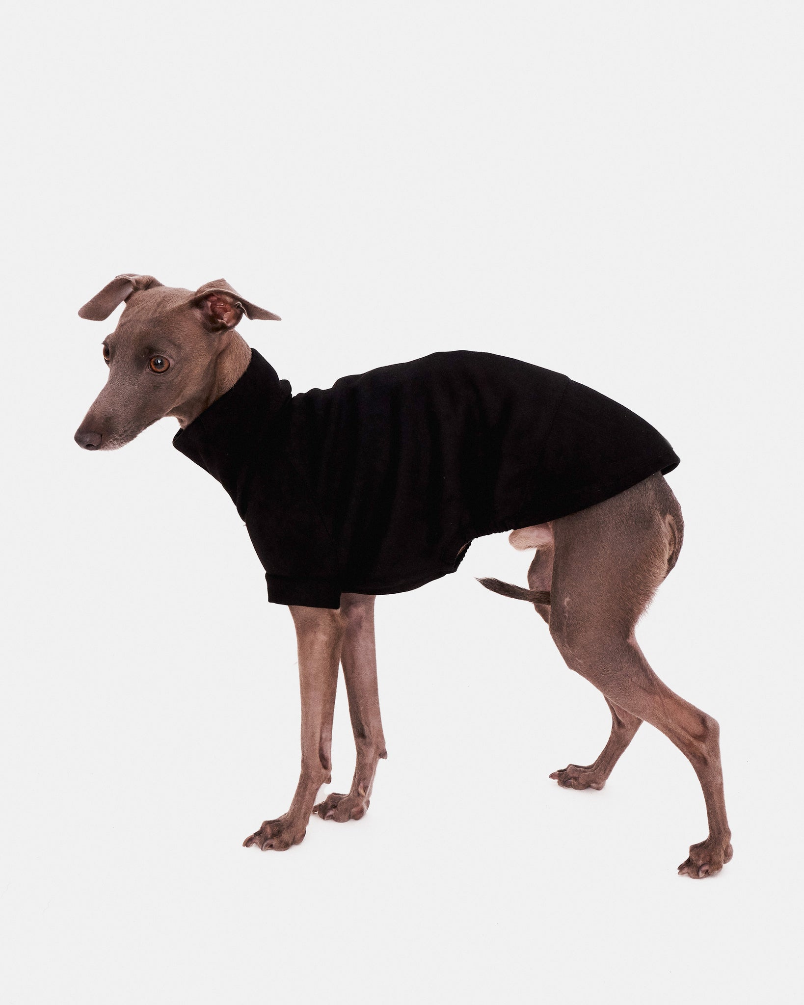 SUDADERA NEGRA - IGGY