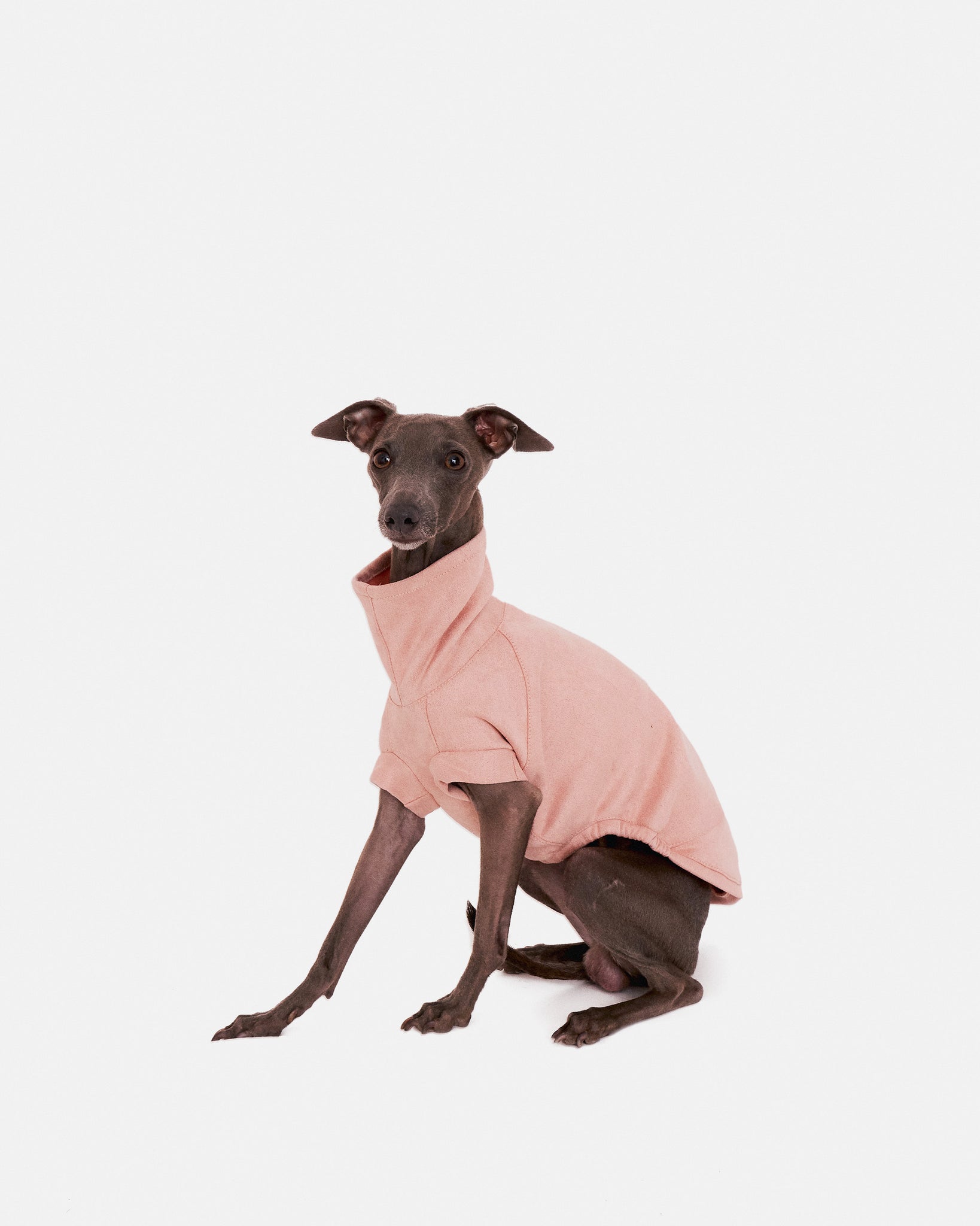 SUDADERA ROSA - IGGY