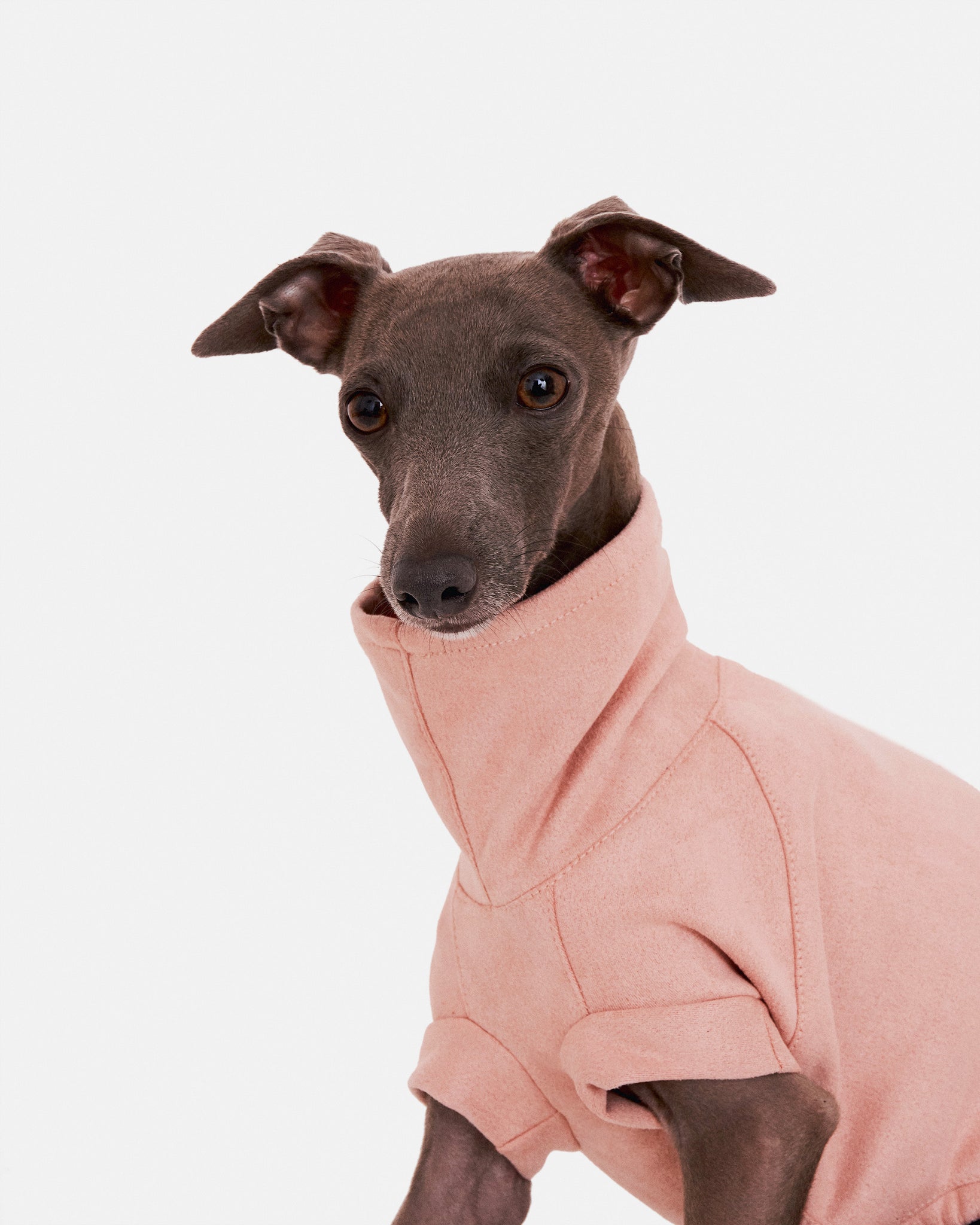 SUDADERA ROSA - IGGY