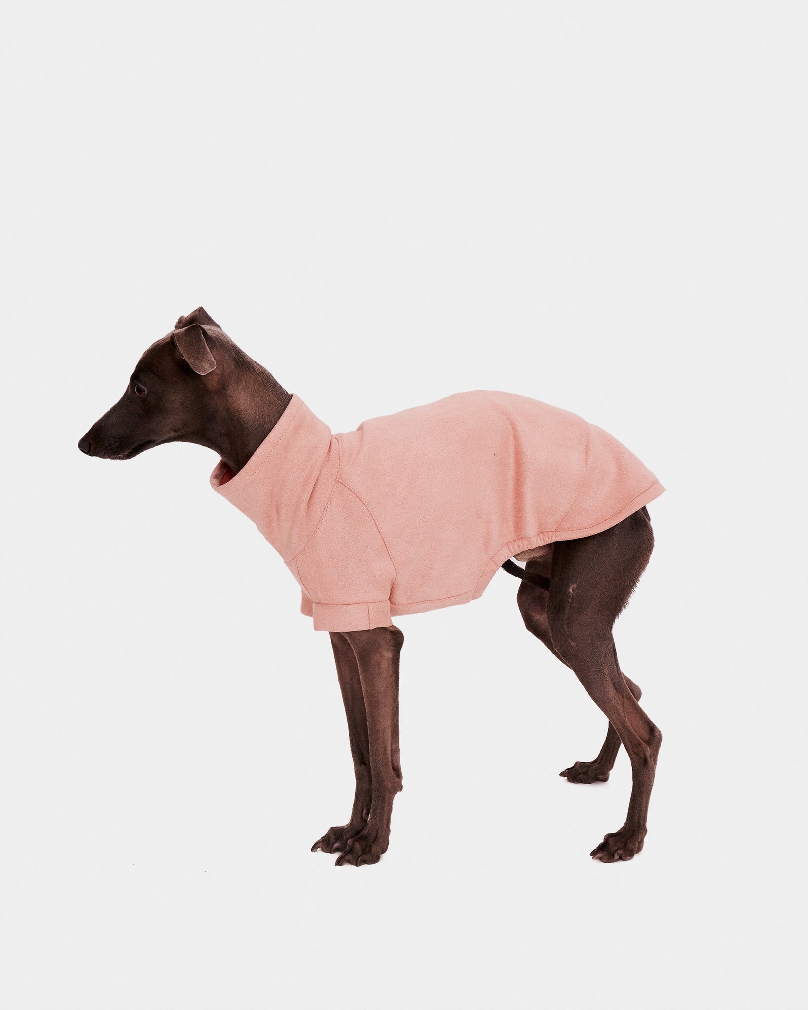 SUDADERA ROSA - IGGY