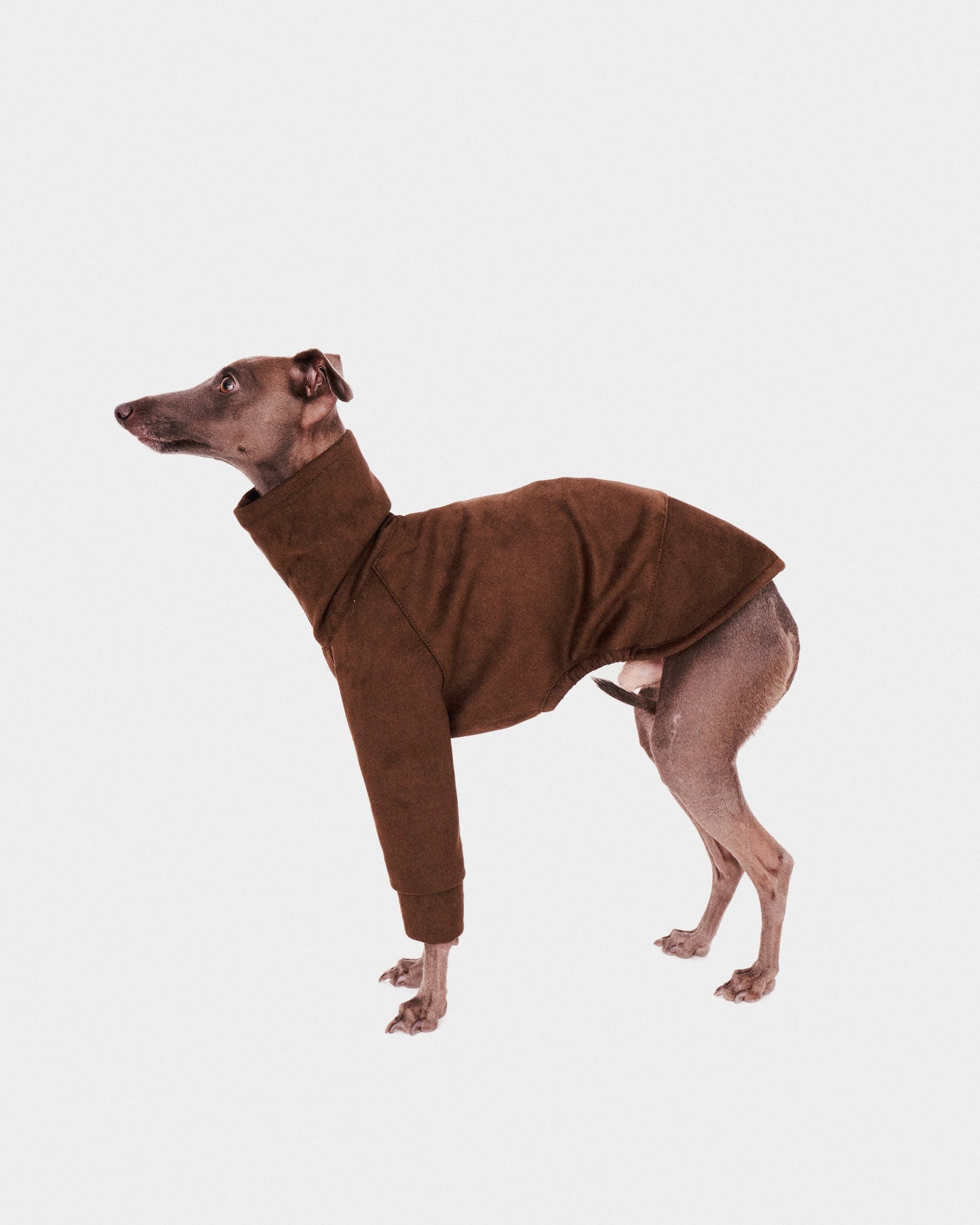 SUDADERA VERDE 2 PATAS - WHIPPET