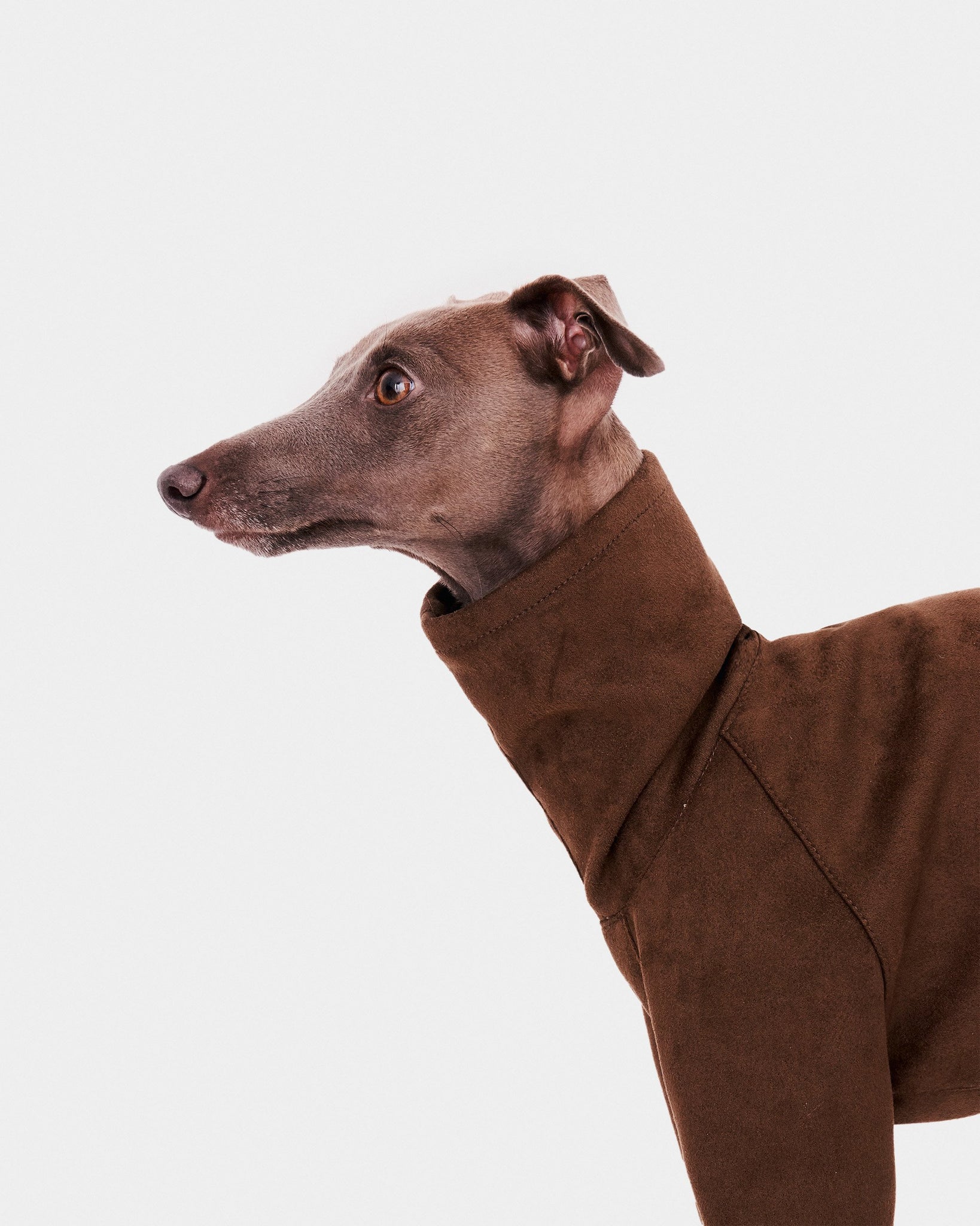 SUDADERA VERDE 2 PATAS - WHIPPET