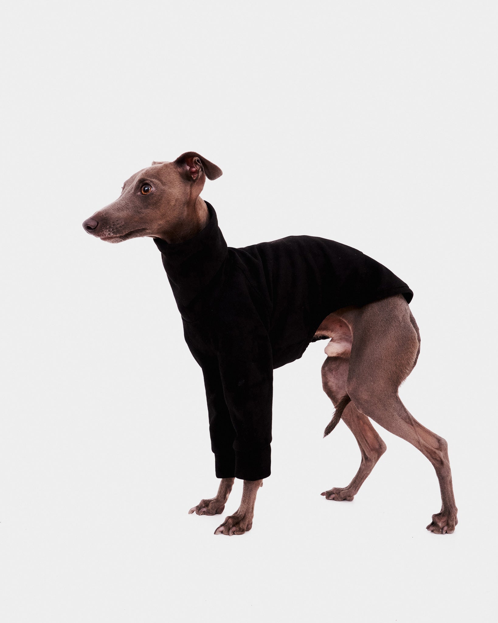 SUDADERA NEGRA 2 PATAS - IGGY