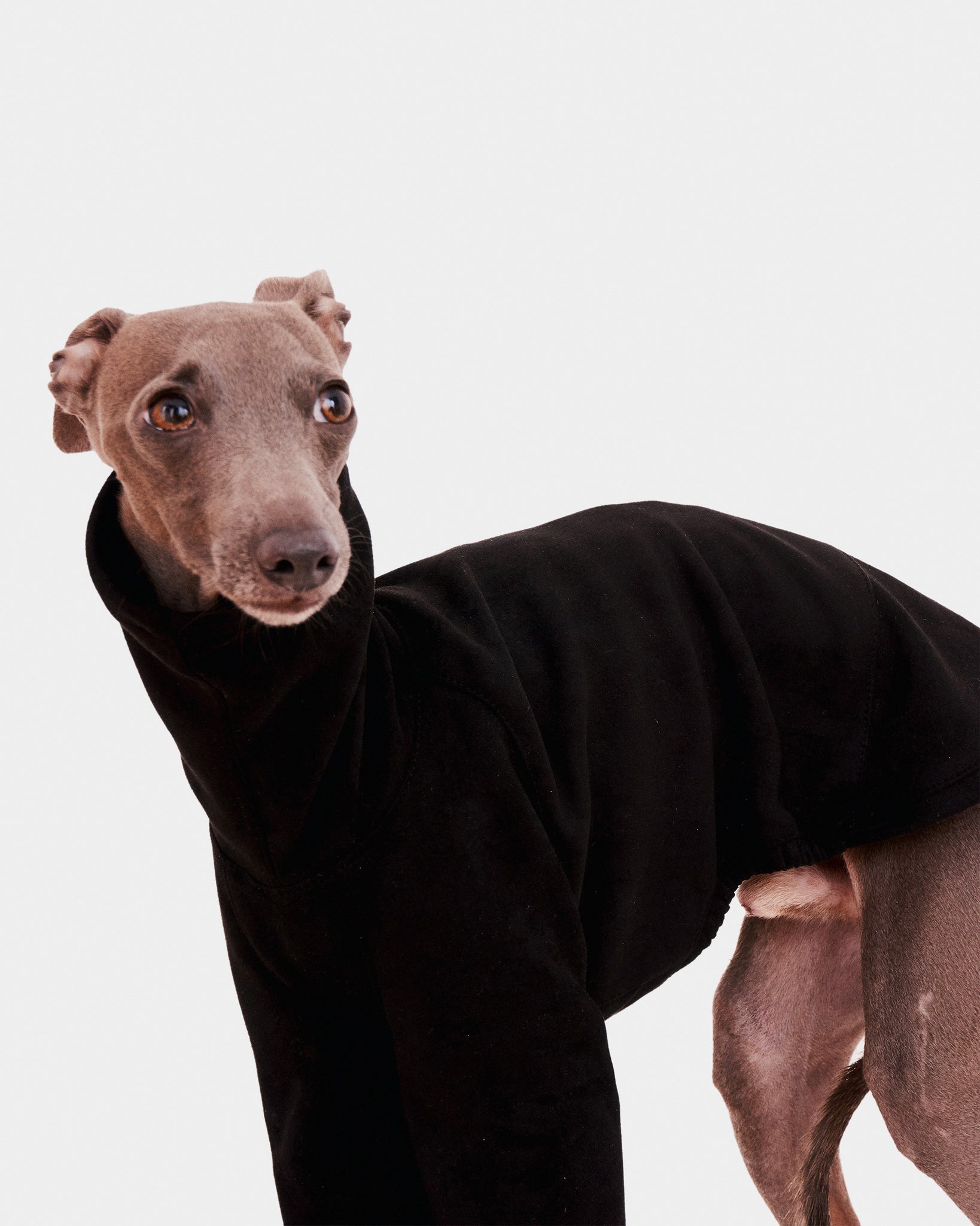 SUDADERA NEGRA 2 PATAS - IGGY