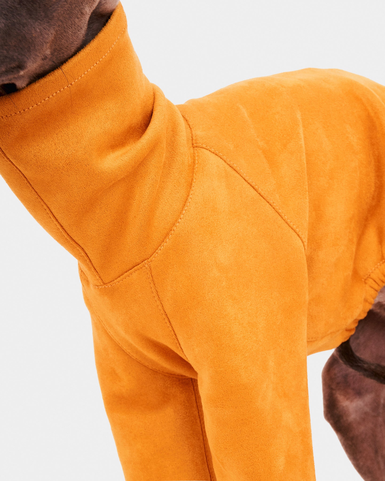 SUDADERA AMARILLA 2 PATAS - IGGY