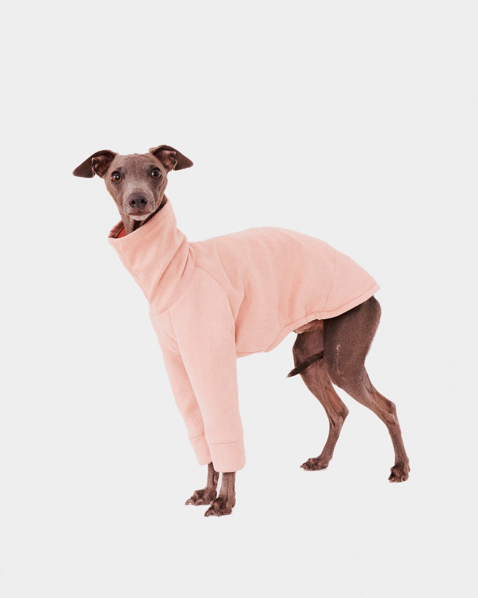 SUDADERA ROSA 2 PATAS - WHIPPET