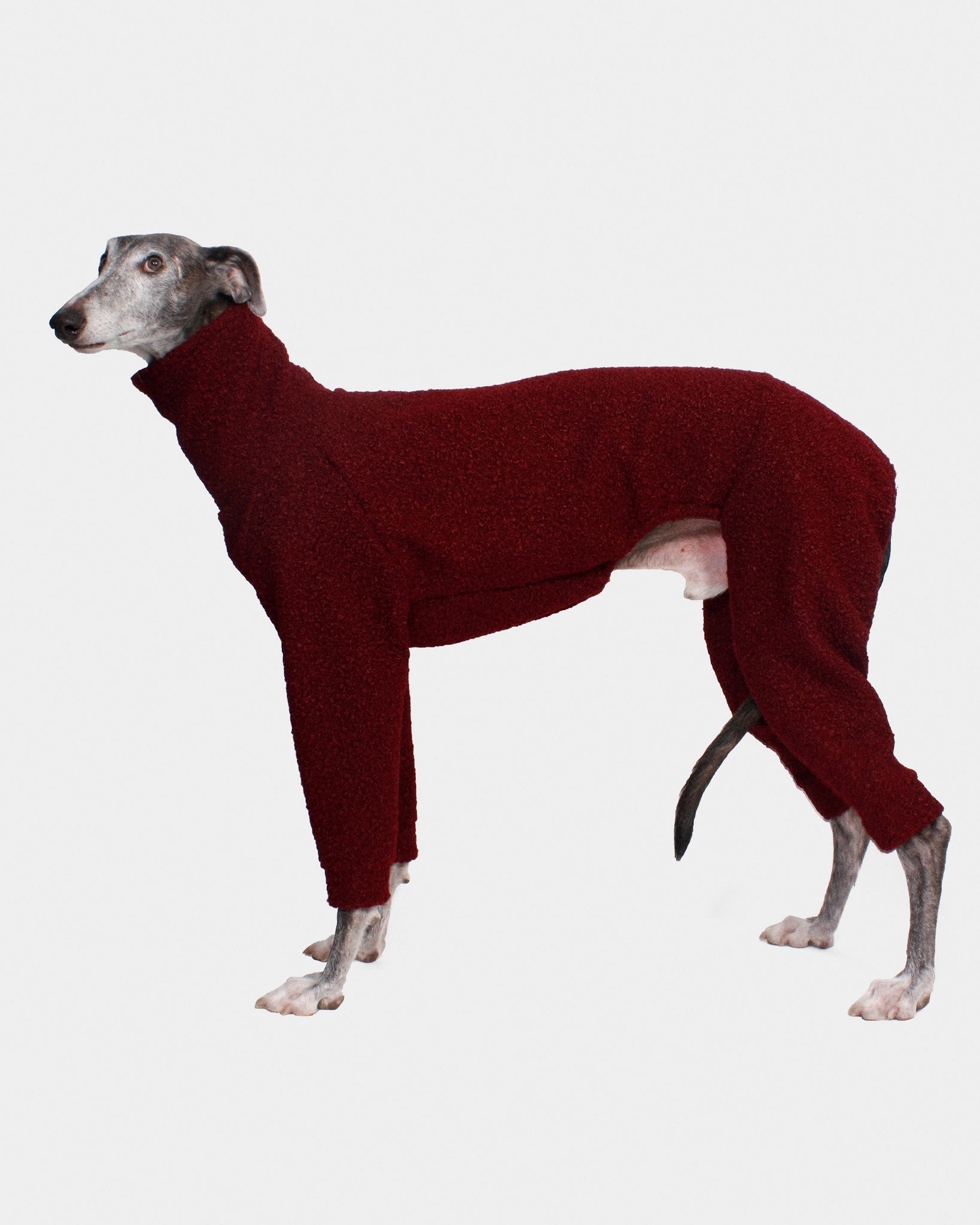 SUDADERA BOUCLE GRANATE 4 PATAS - GALGO