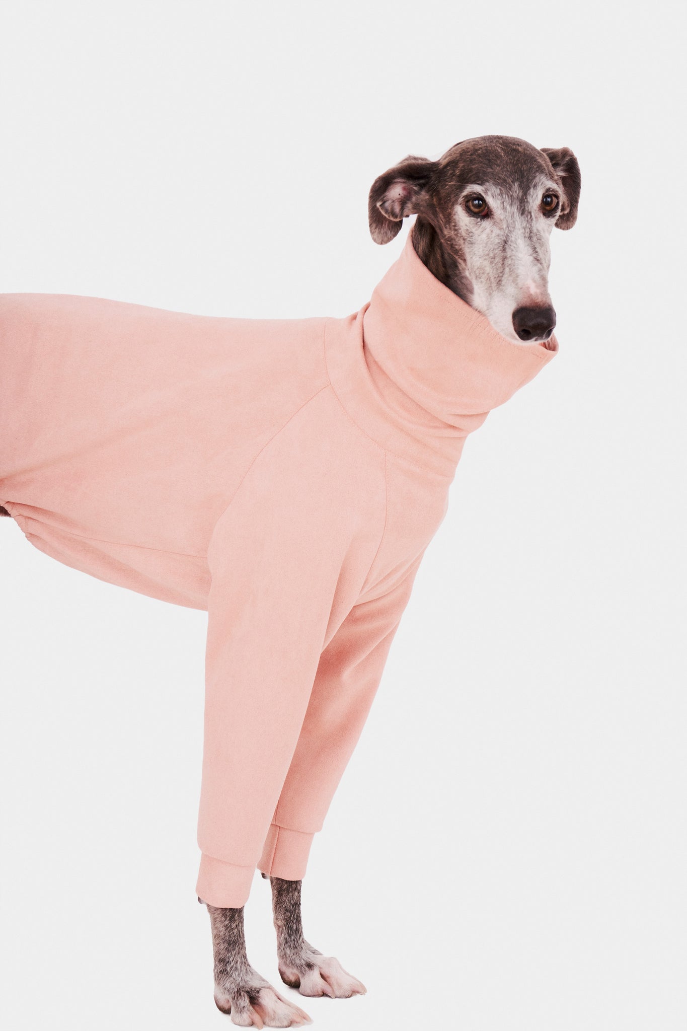 SUDADERA ROSA 2 PATAS - GALGO