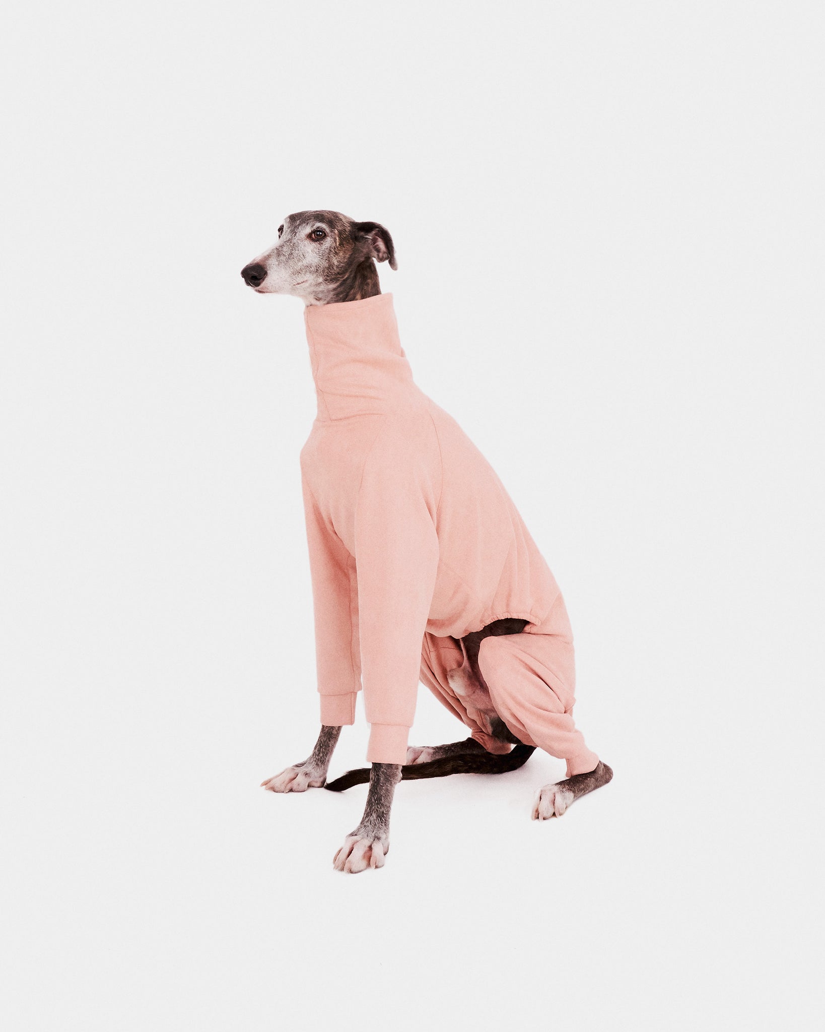 SUDADERA ROSA 4 PATAS - GALGO