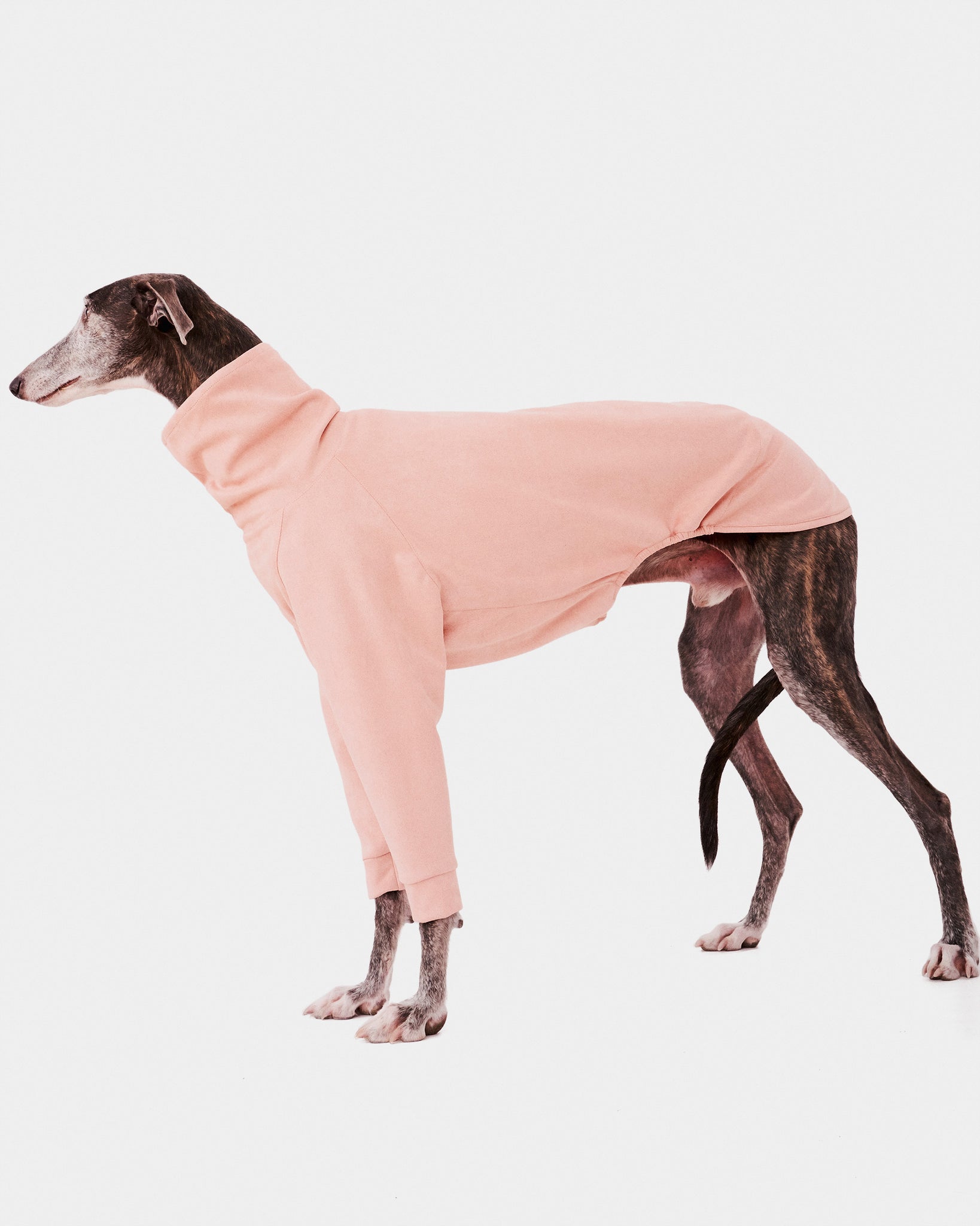 SUDADERA ROSA 2 PATAS - GALGO