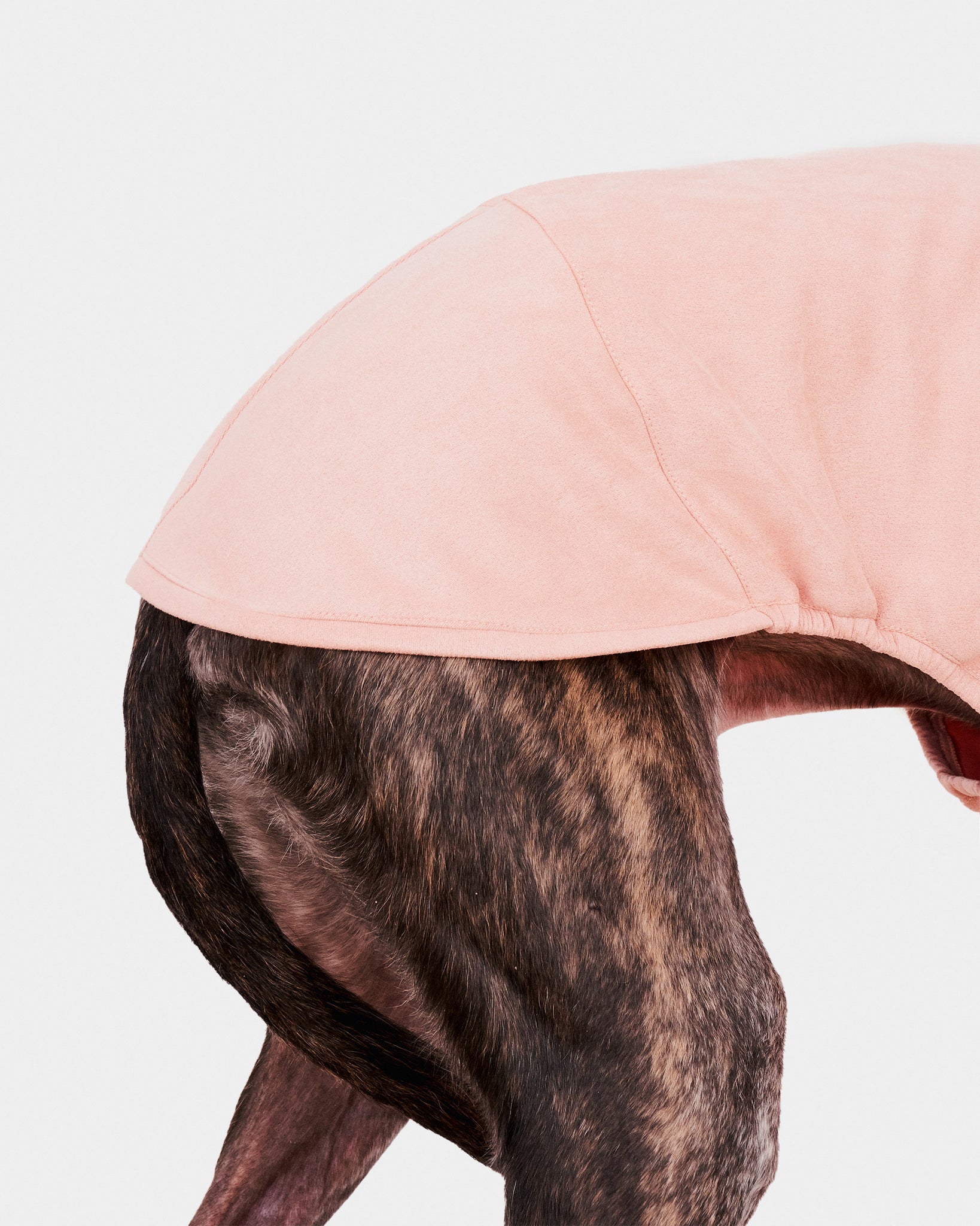 SUDADERA ROSA 2 PATAS - GALGO