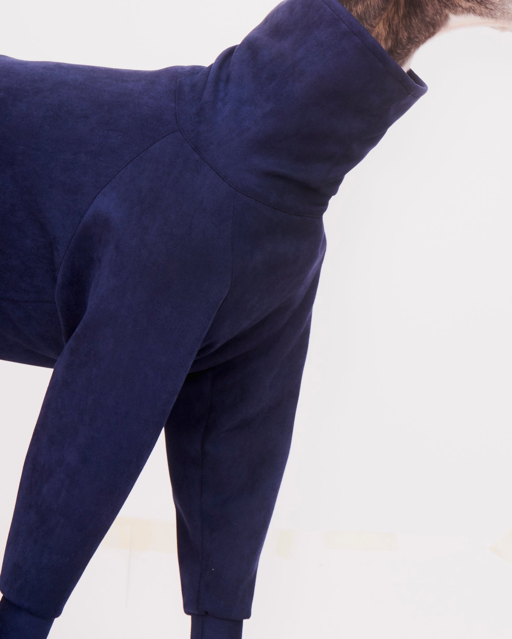 SUDADERA AZUL 4 PATAS - GALGO