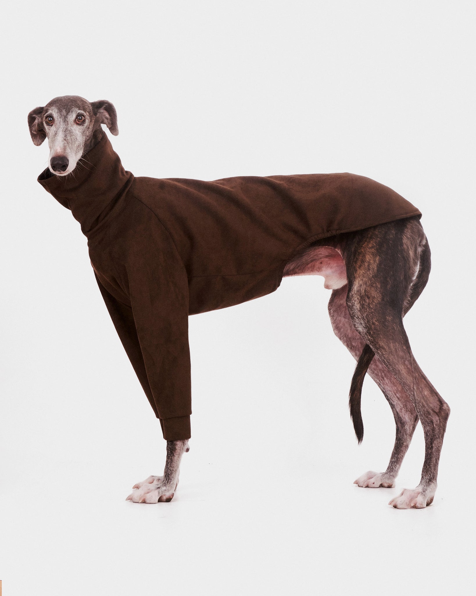 SUDADERA VERDE 2 PATAS - GALGO