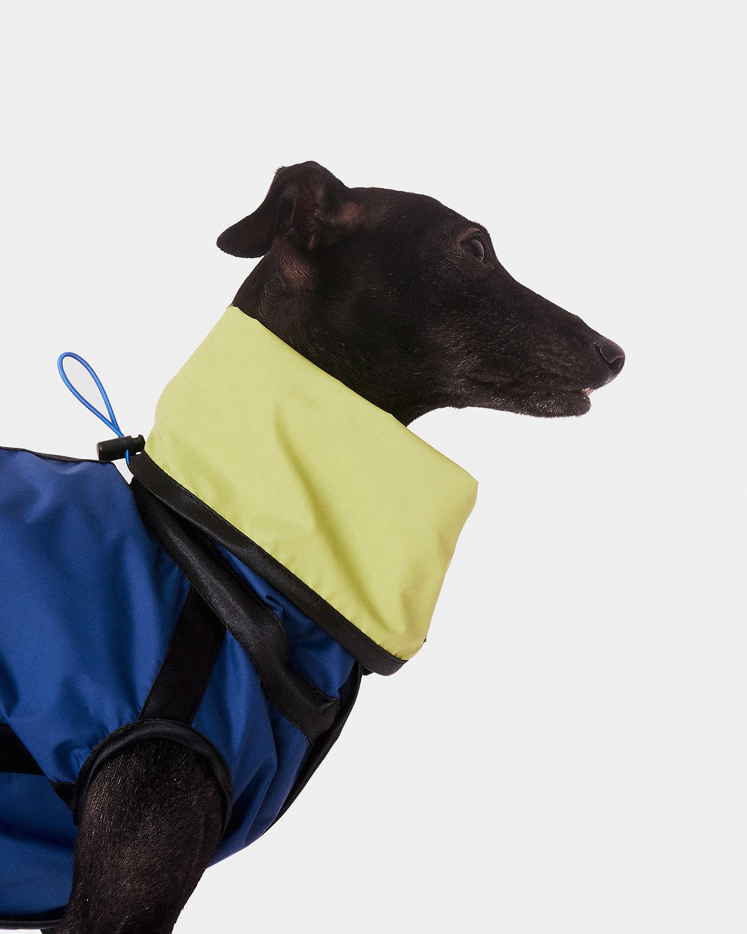 CHUBASQUERO REVERSIBLE - IGGY (ED. LIMITADA)