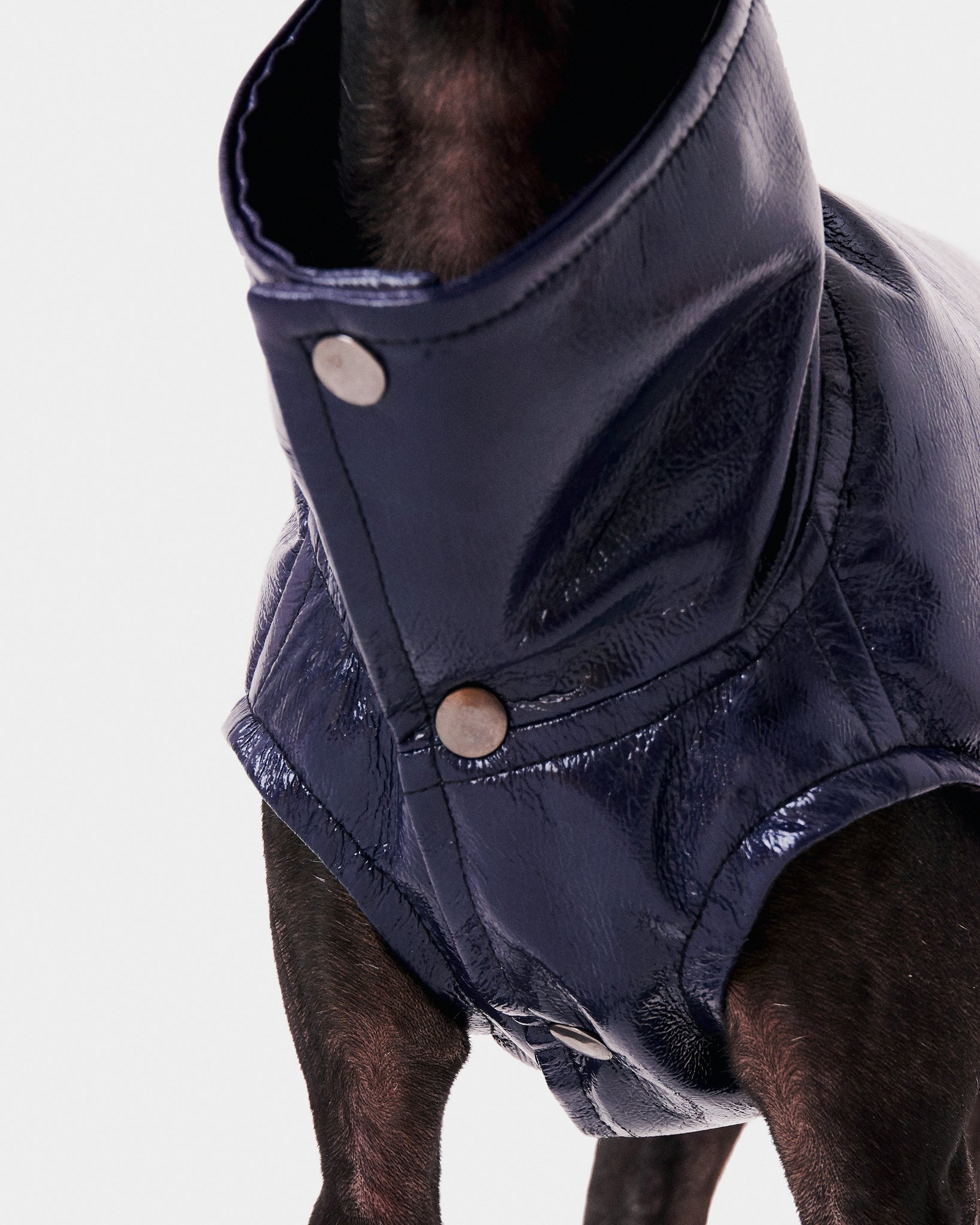 CHALECO REVERSIBLE WATERPROOF - WHIPPET