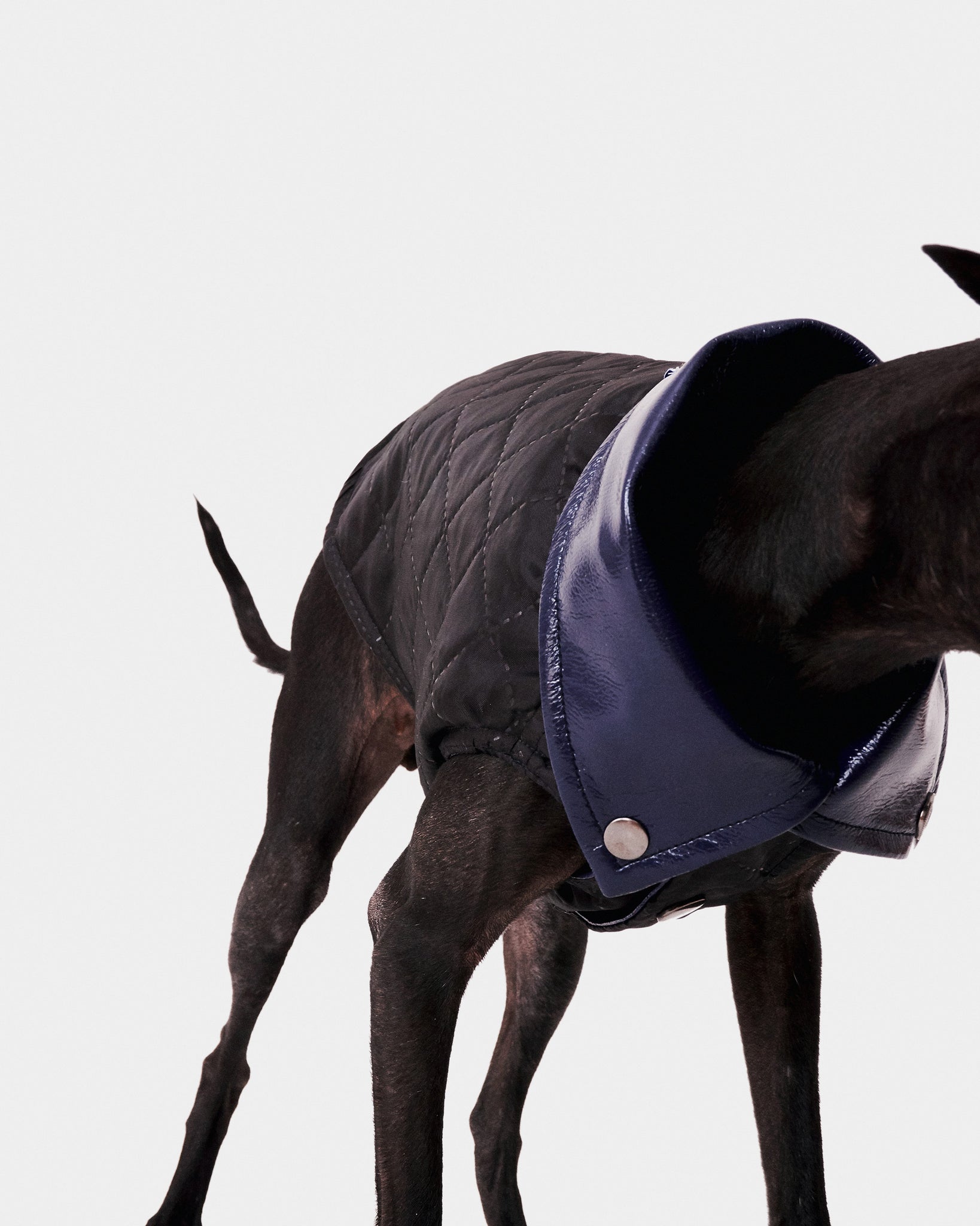 CHALECO REVERSIBLE WATERPROOF - WHIPPET