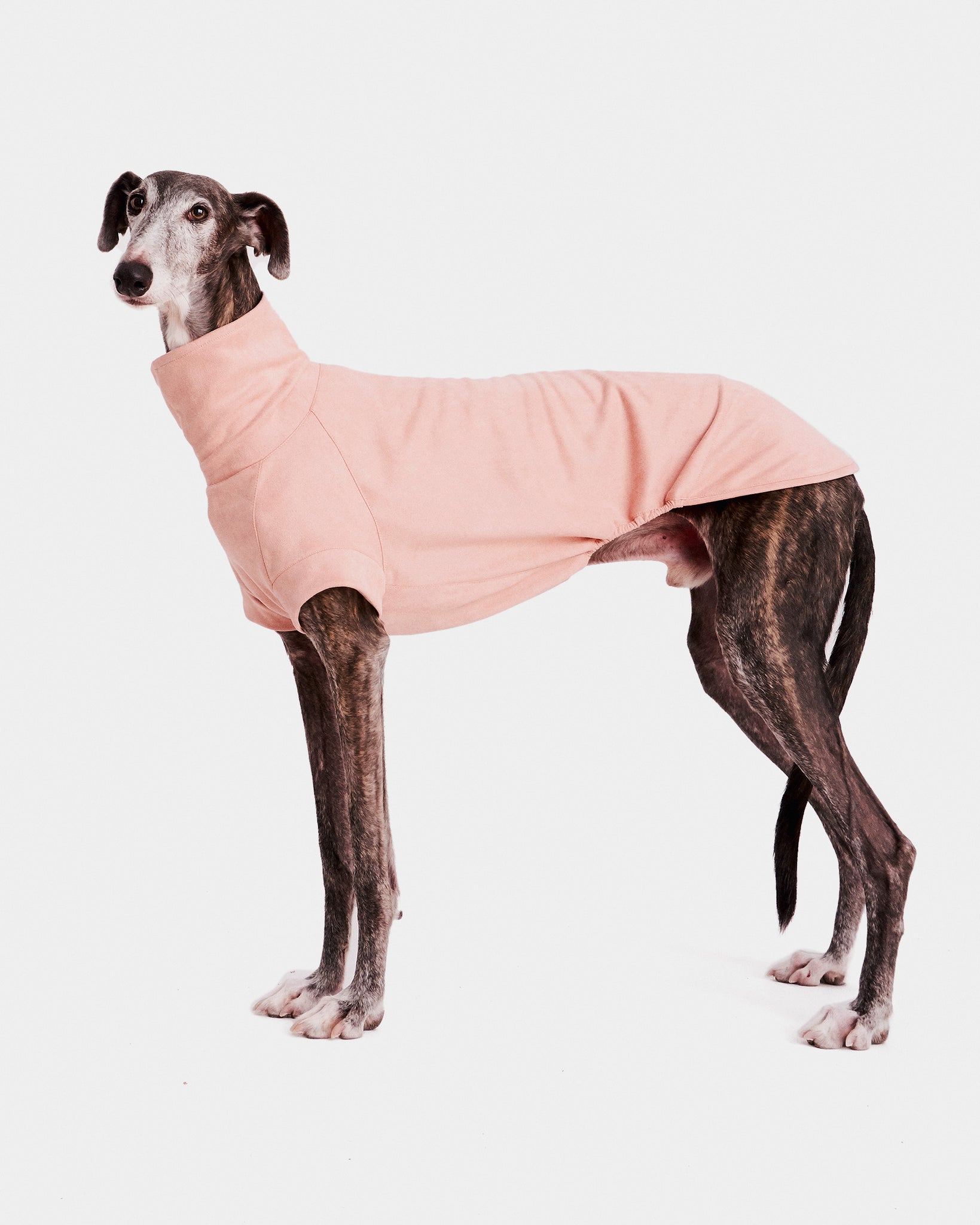 SUDADERA ROSA - GALGO