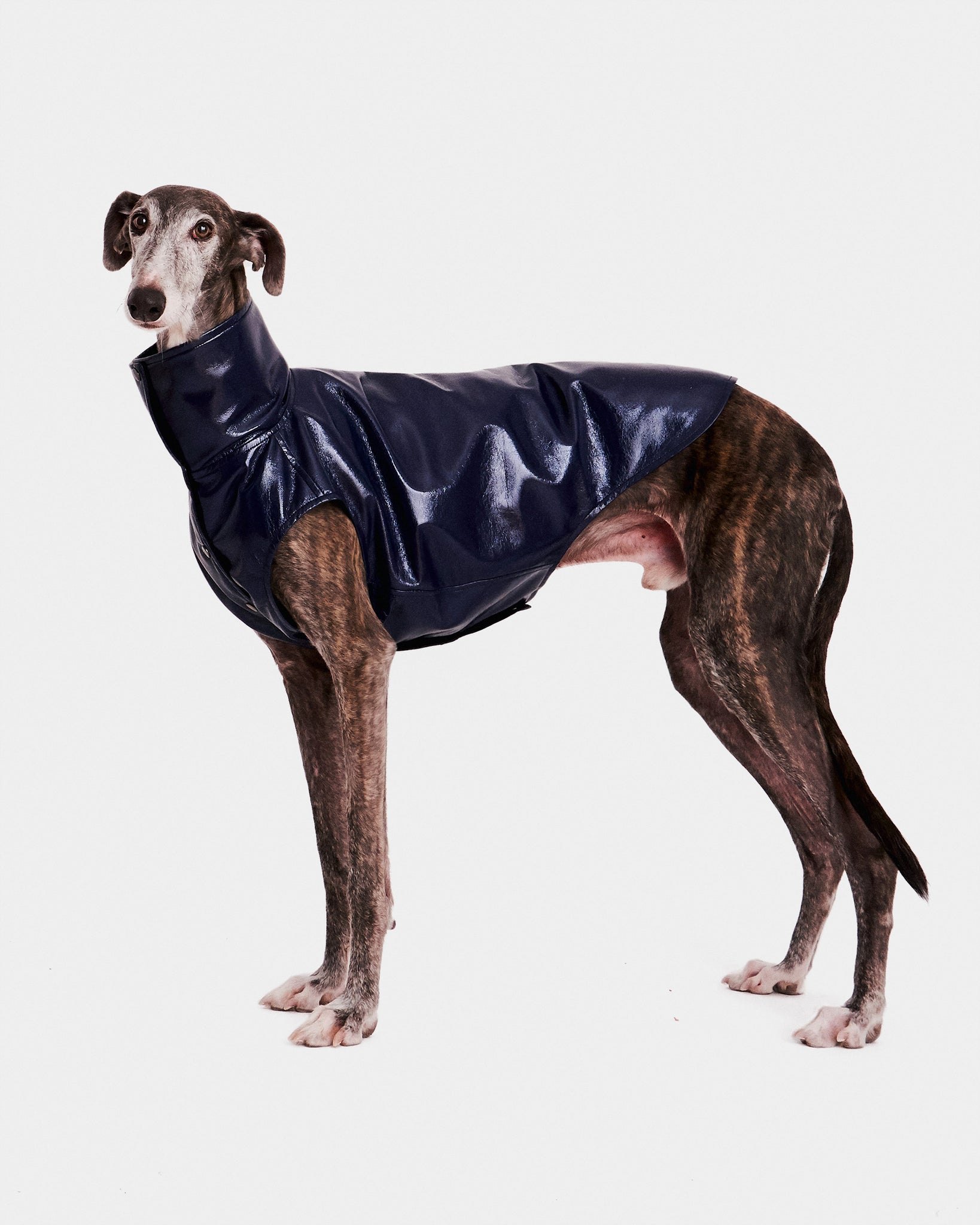 CHALECO REVERSIBLE WATERPROOF - GALGO