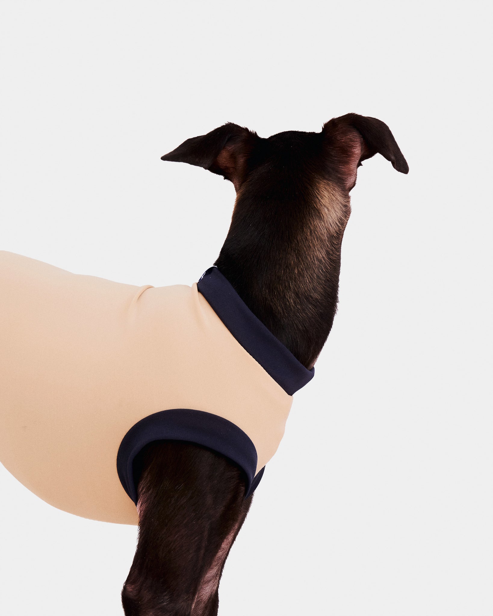 LYCRA BEIGE - IGGY (PREORDER)