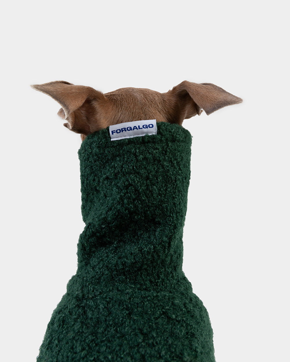 SUDADERA BOUCLE VERDE 4 PATAS - WHIPPET (BAJO PEDIDO)