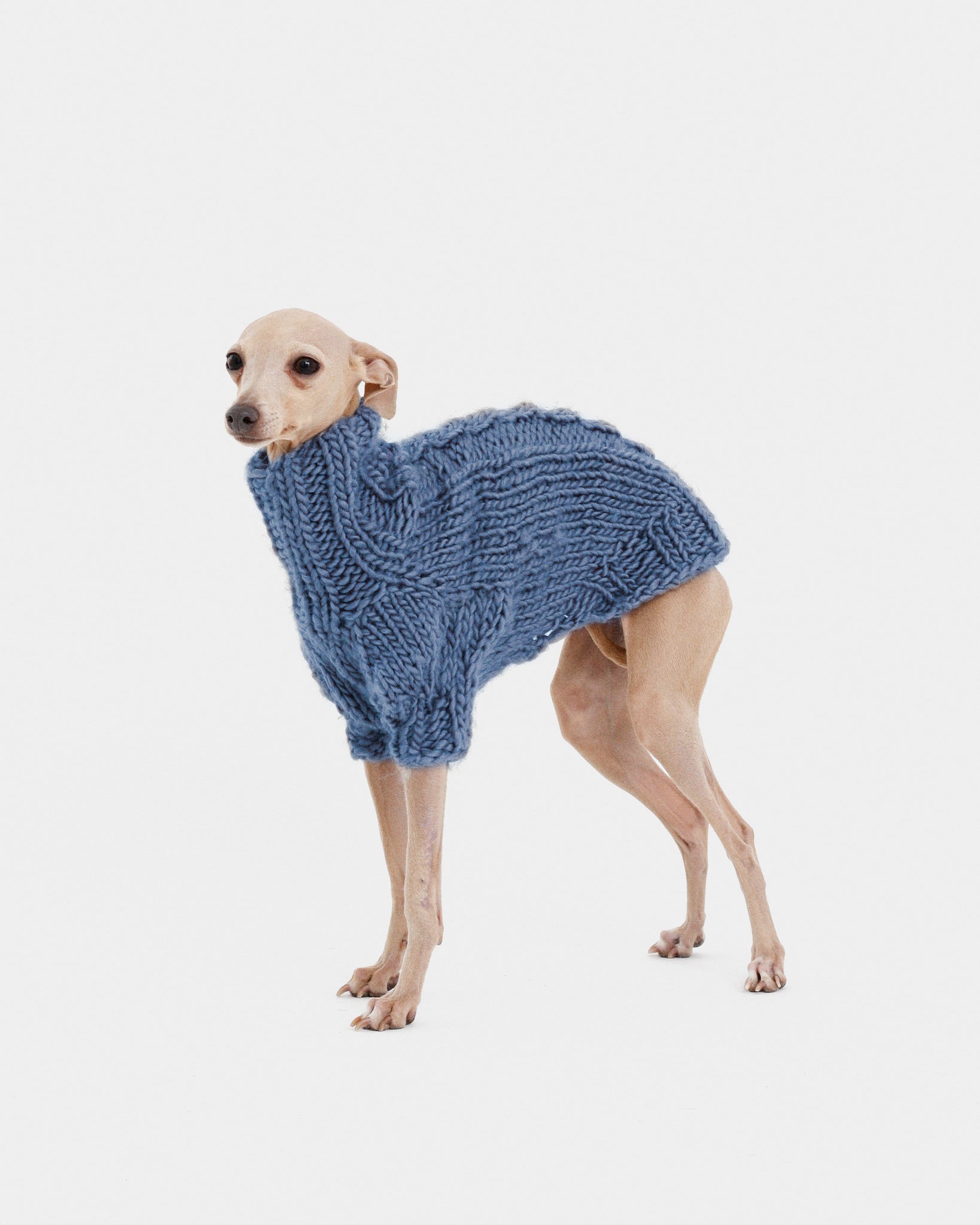 JERSEY PUNTO AZUL - IGGY (A MEDIDA)