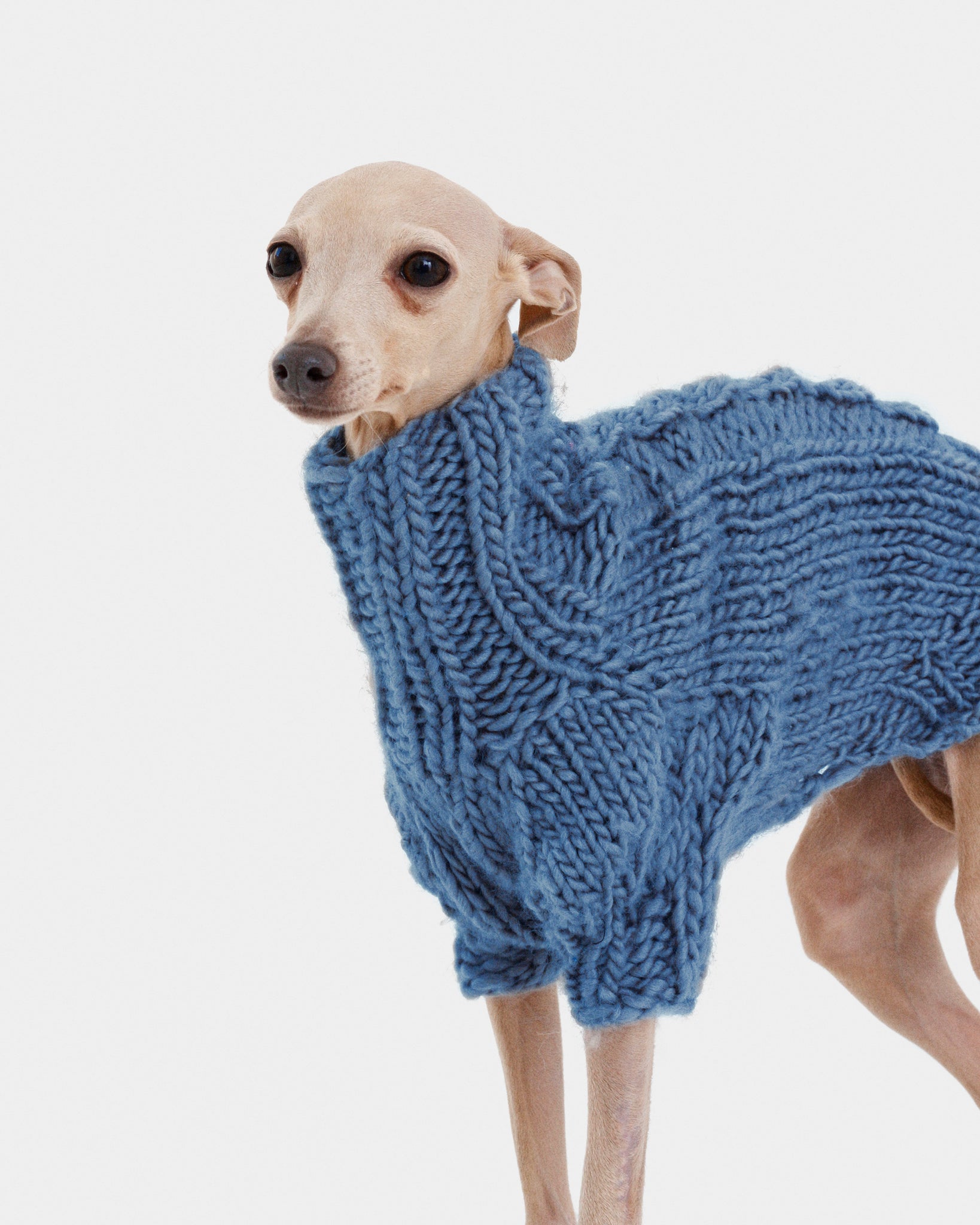 JERSEY PUNTO AZUL - IGGY (A MEDIDA)