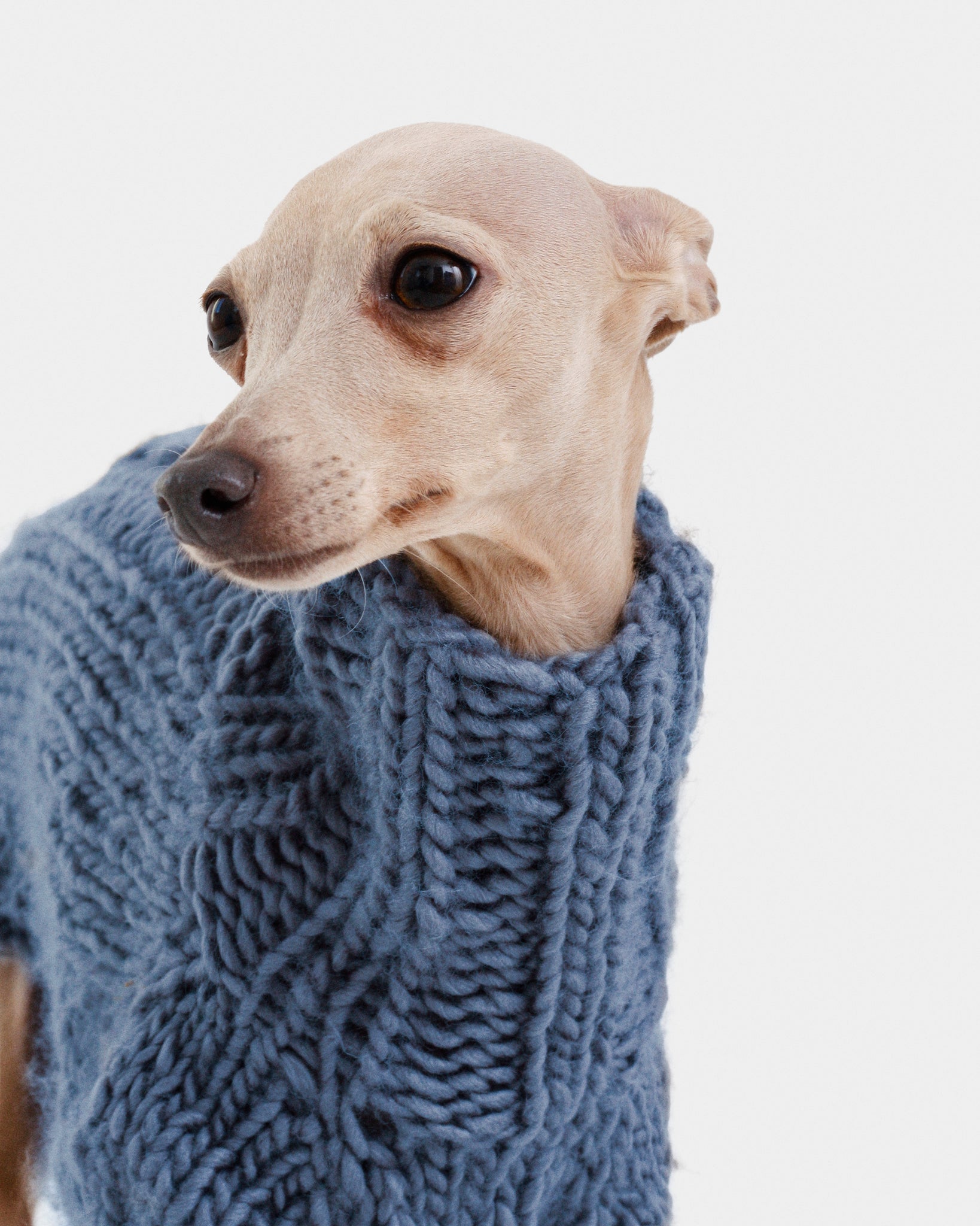 JERSEY PUNTO AZUL - IGGY (A MEDIDA)